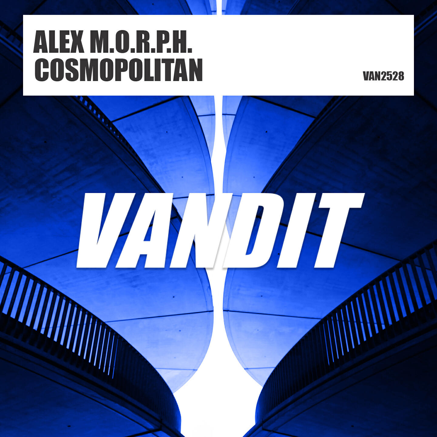 Релиз Cosmopolitan