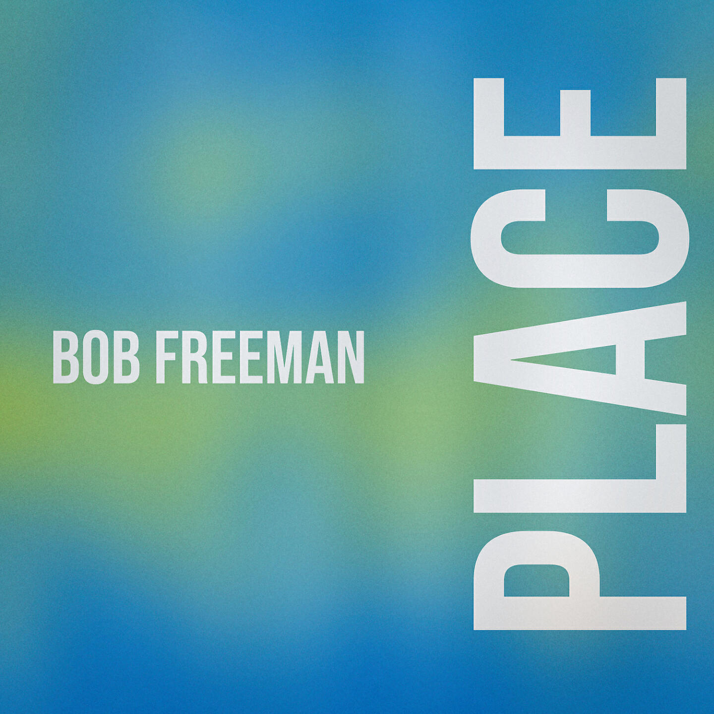 Релиз Place