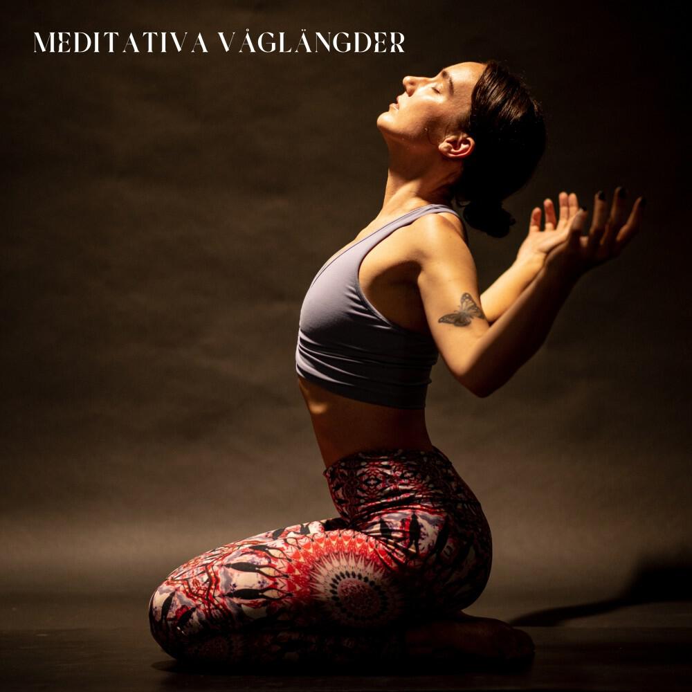 Релиз Meditativa Våglängder