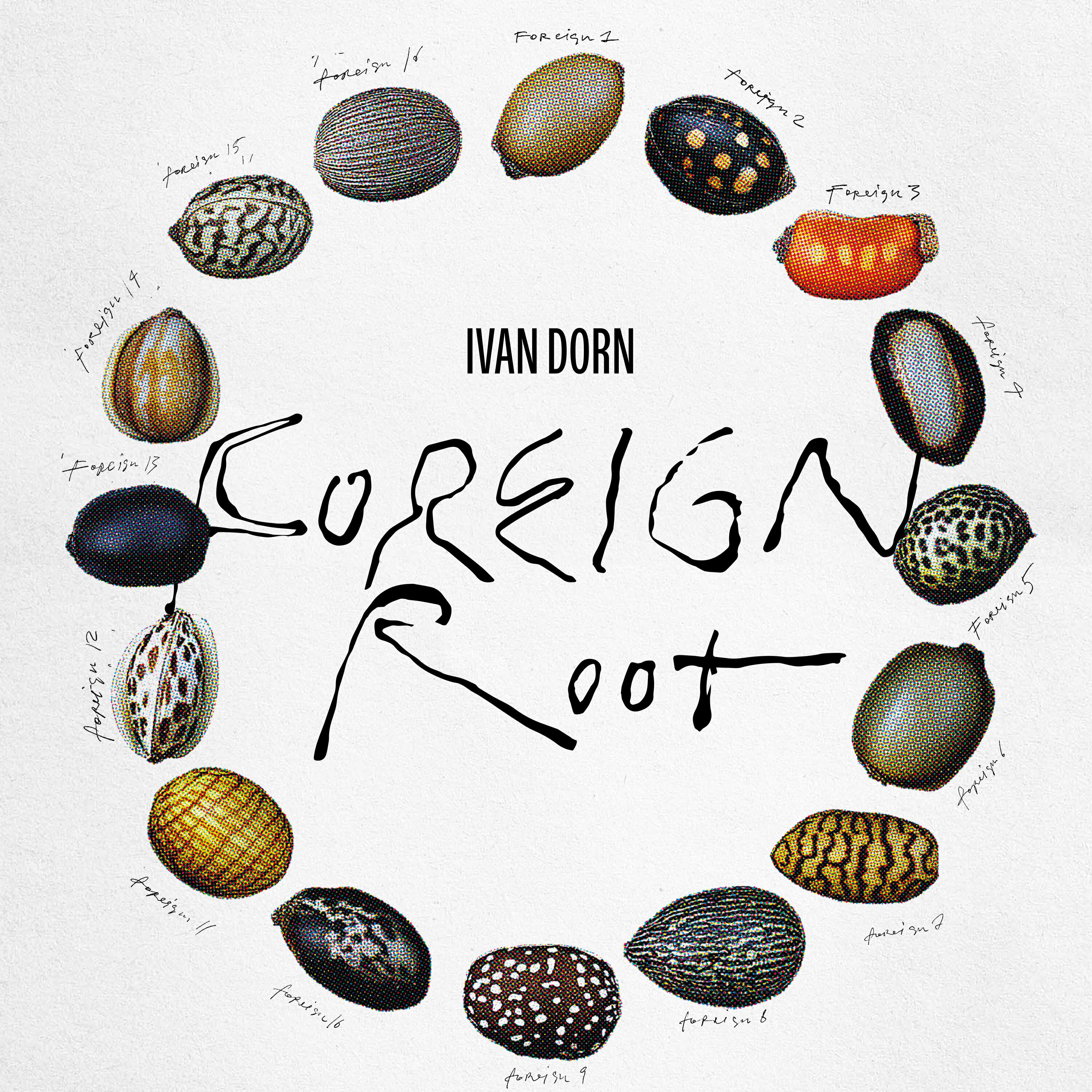 Релиз Foreign Root