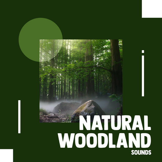 Релиз Natural Woodland Sounds