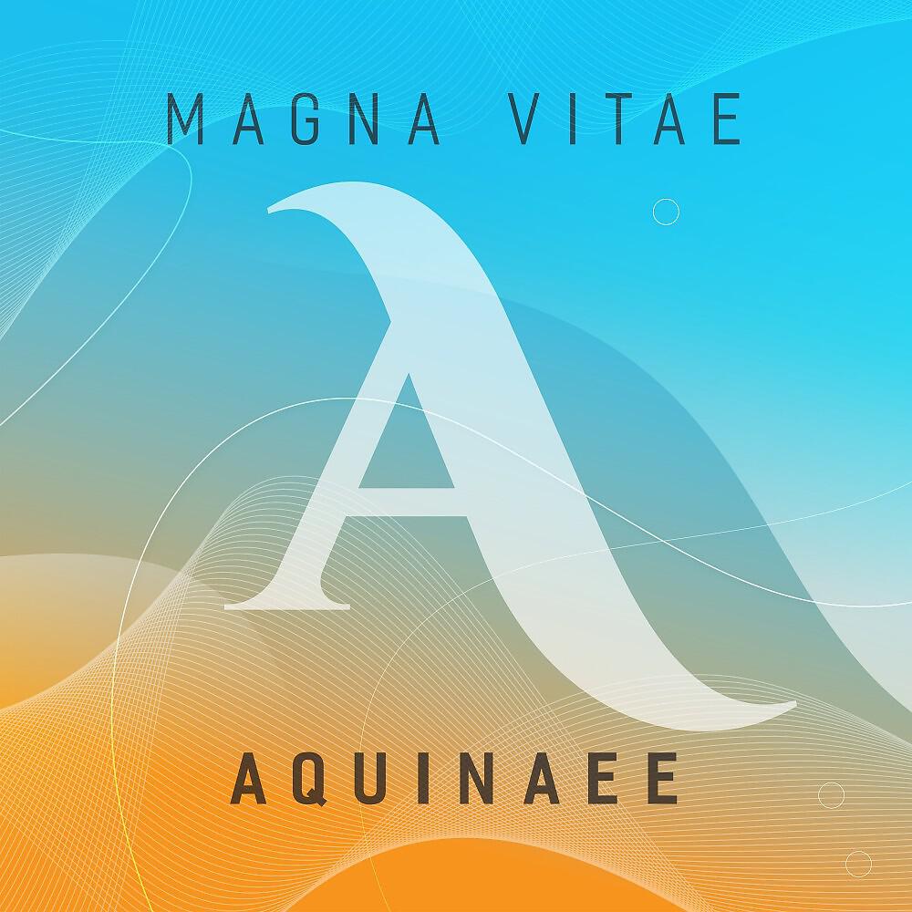 Релиз Magna Vitae