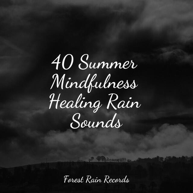 Nature Sounds for Relaxation