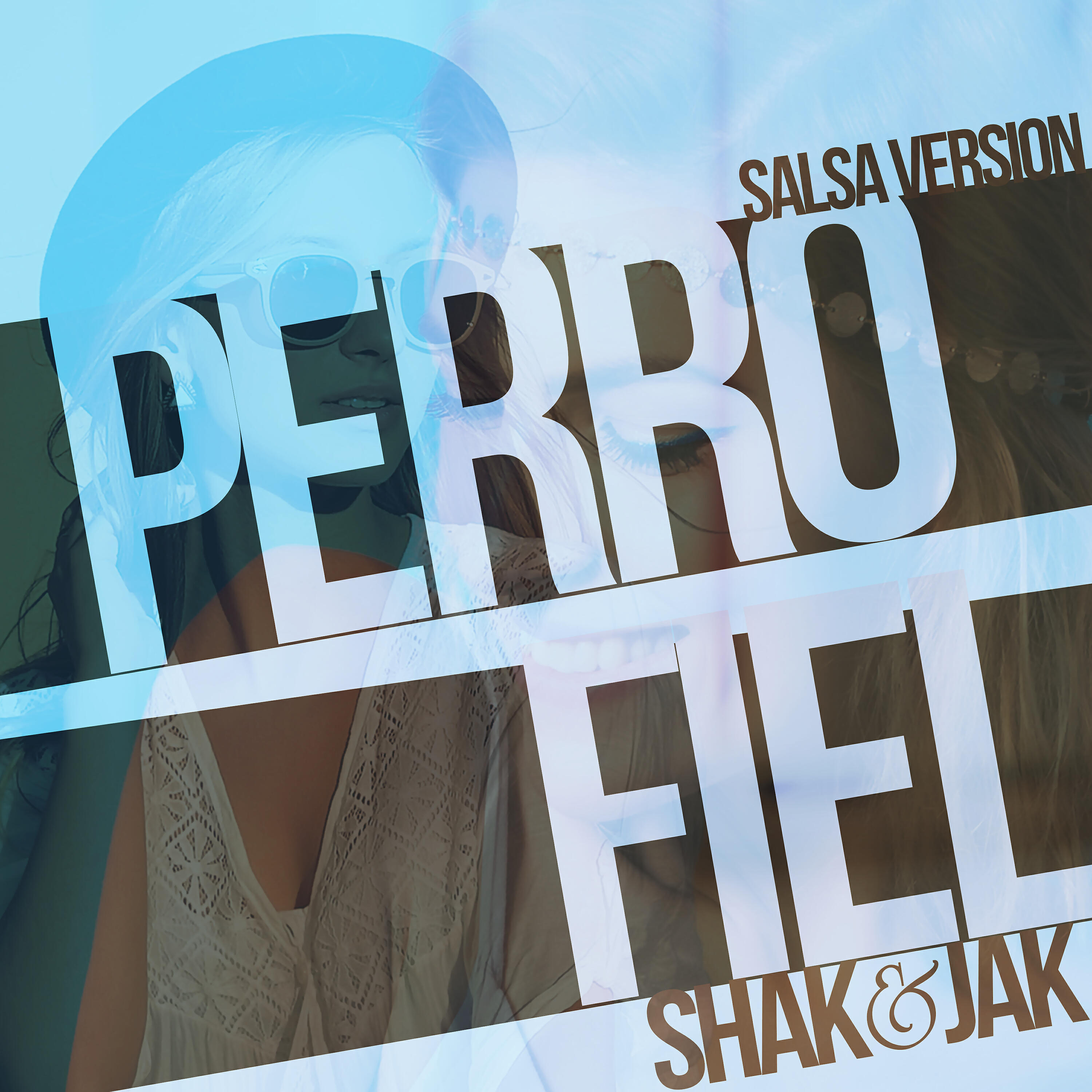 Релиз Perro Fiel (Salsa Version)