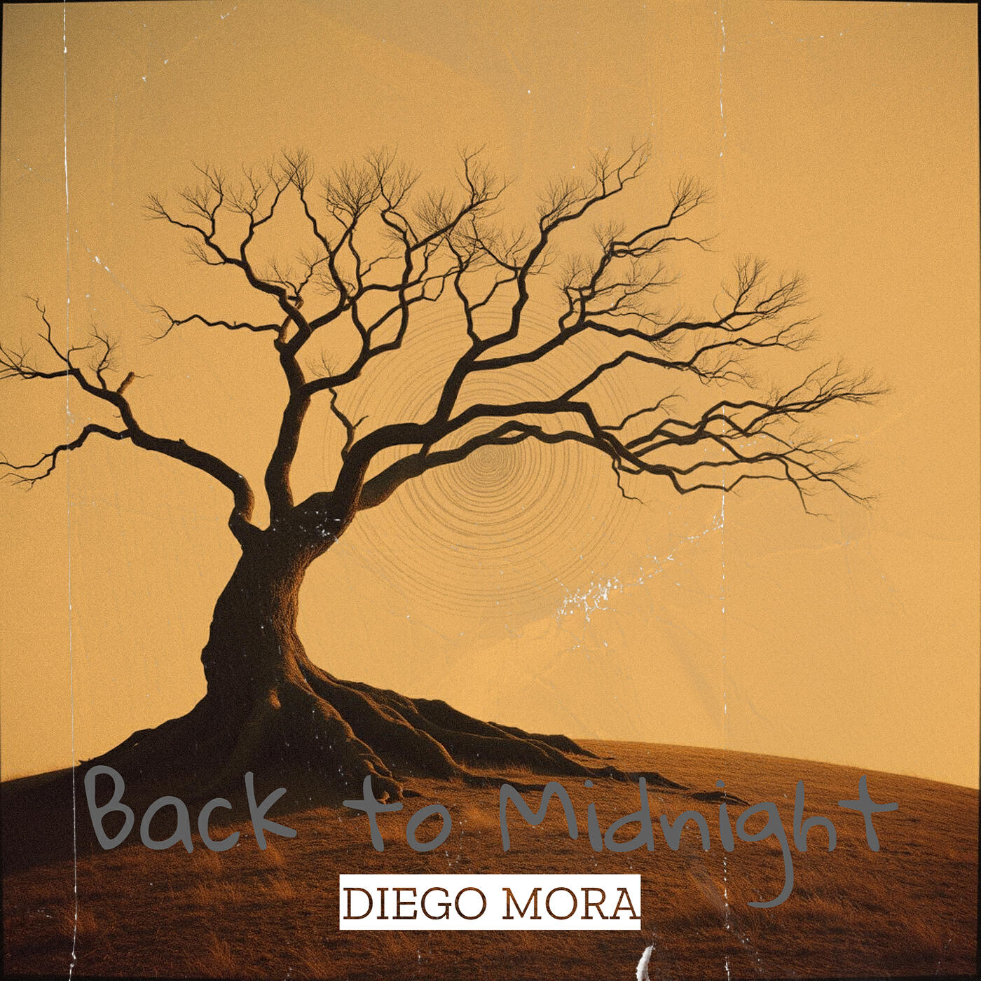 Релиз Back to Midnight