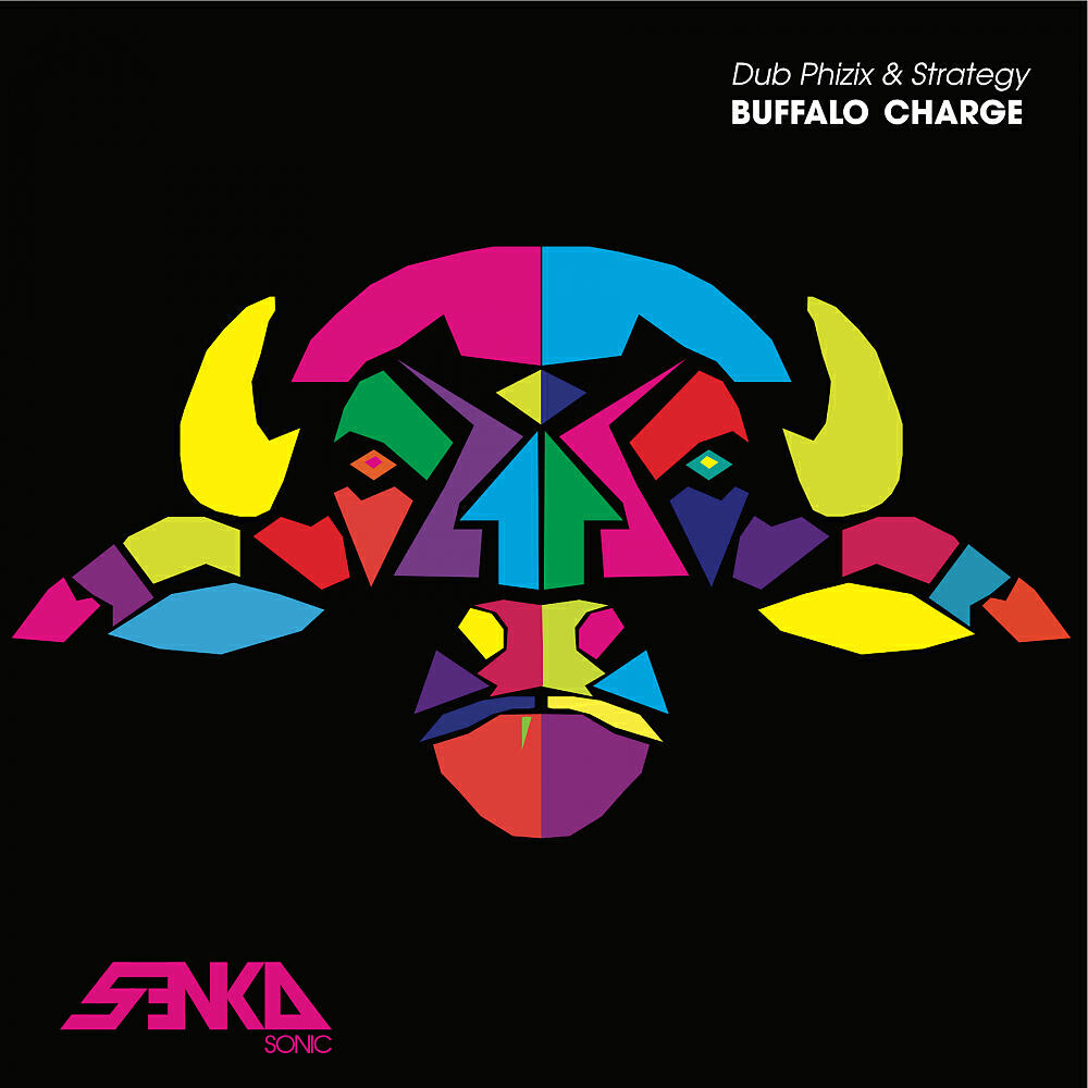Постер альбома Buffalo Charge