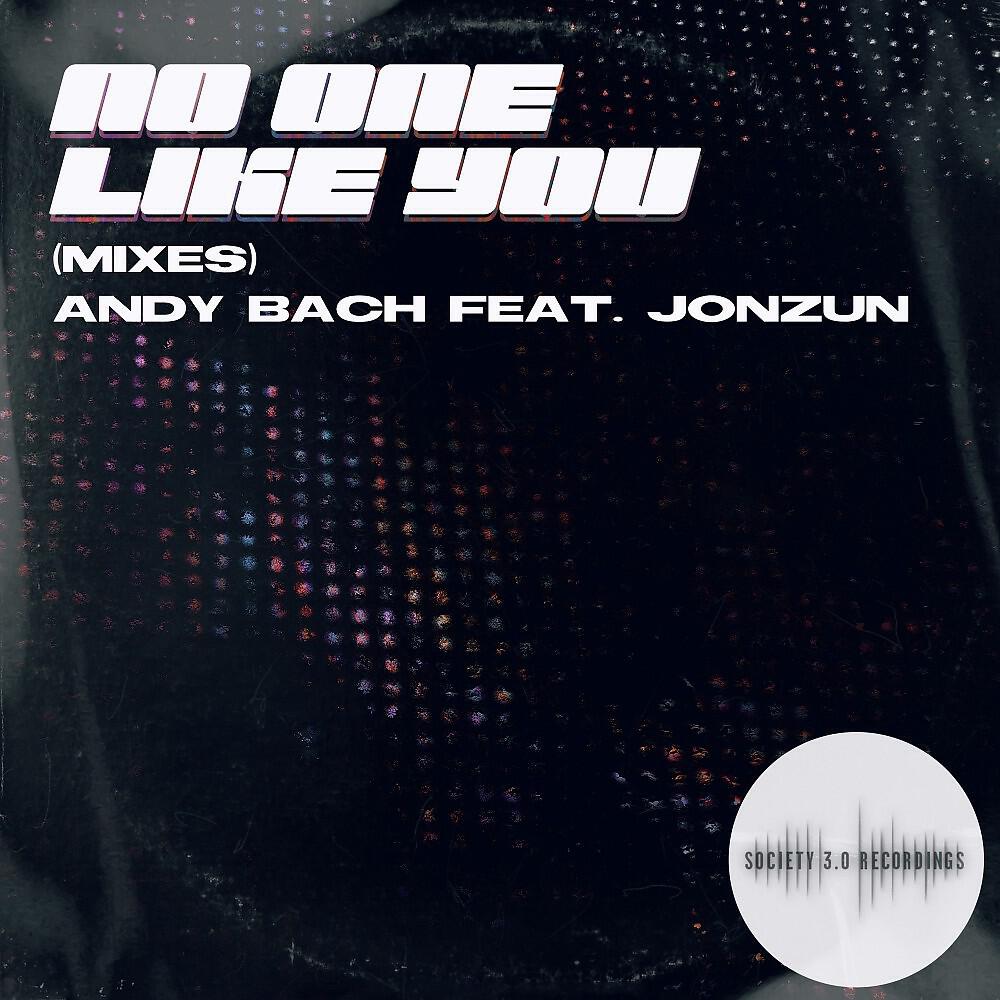Релиз No One Like You (Mixes)