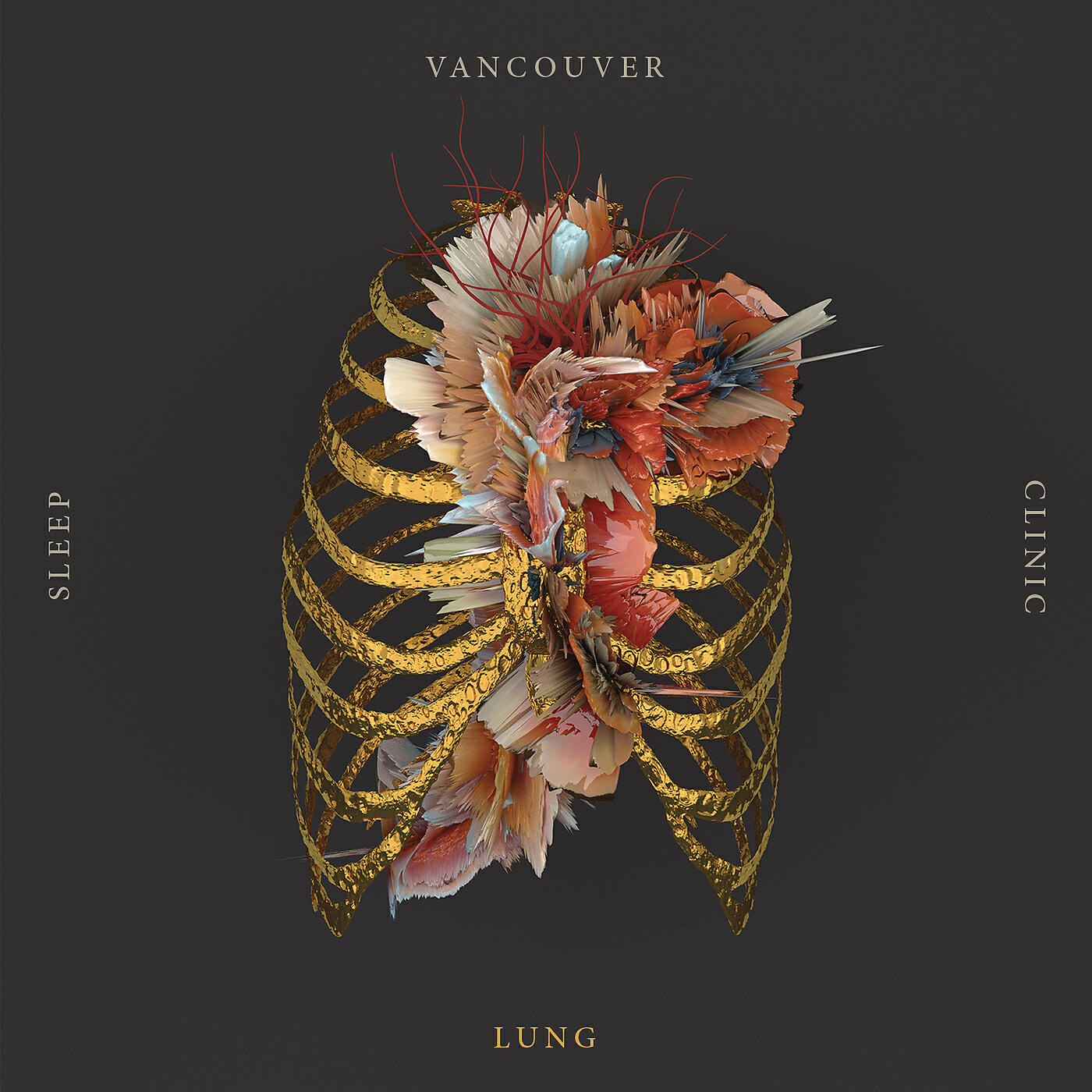 Релиз Lung