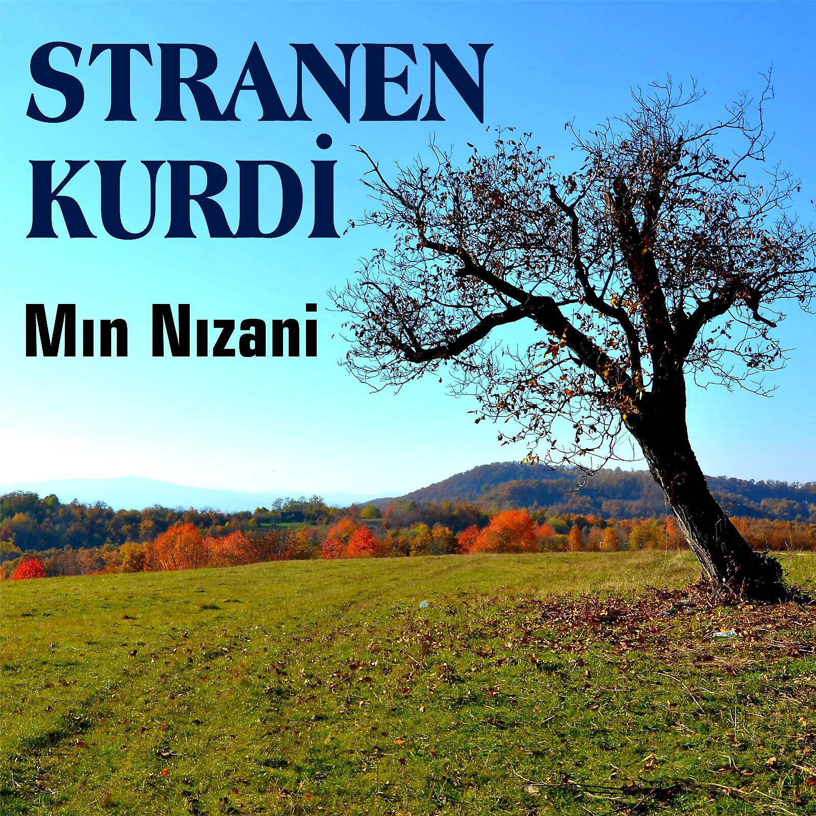 Релиз Mın Nızani