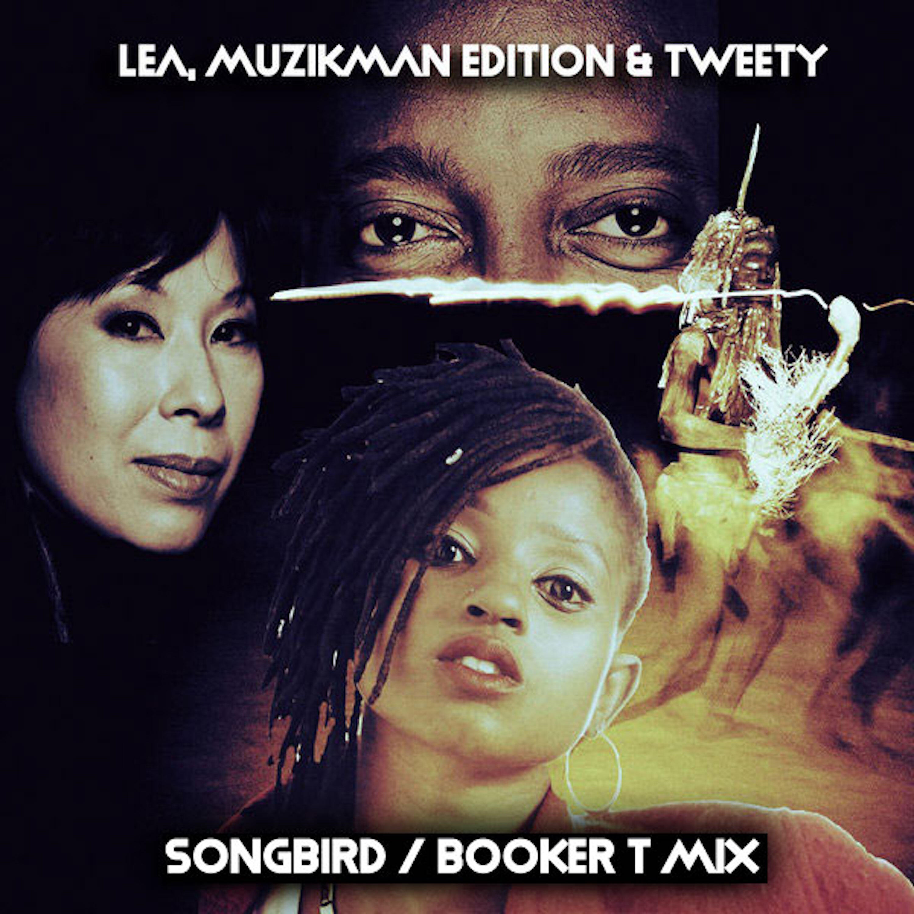 Релиз Songbird