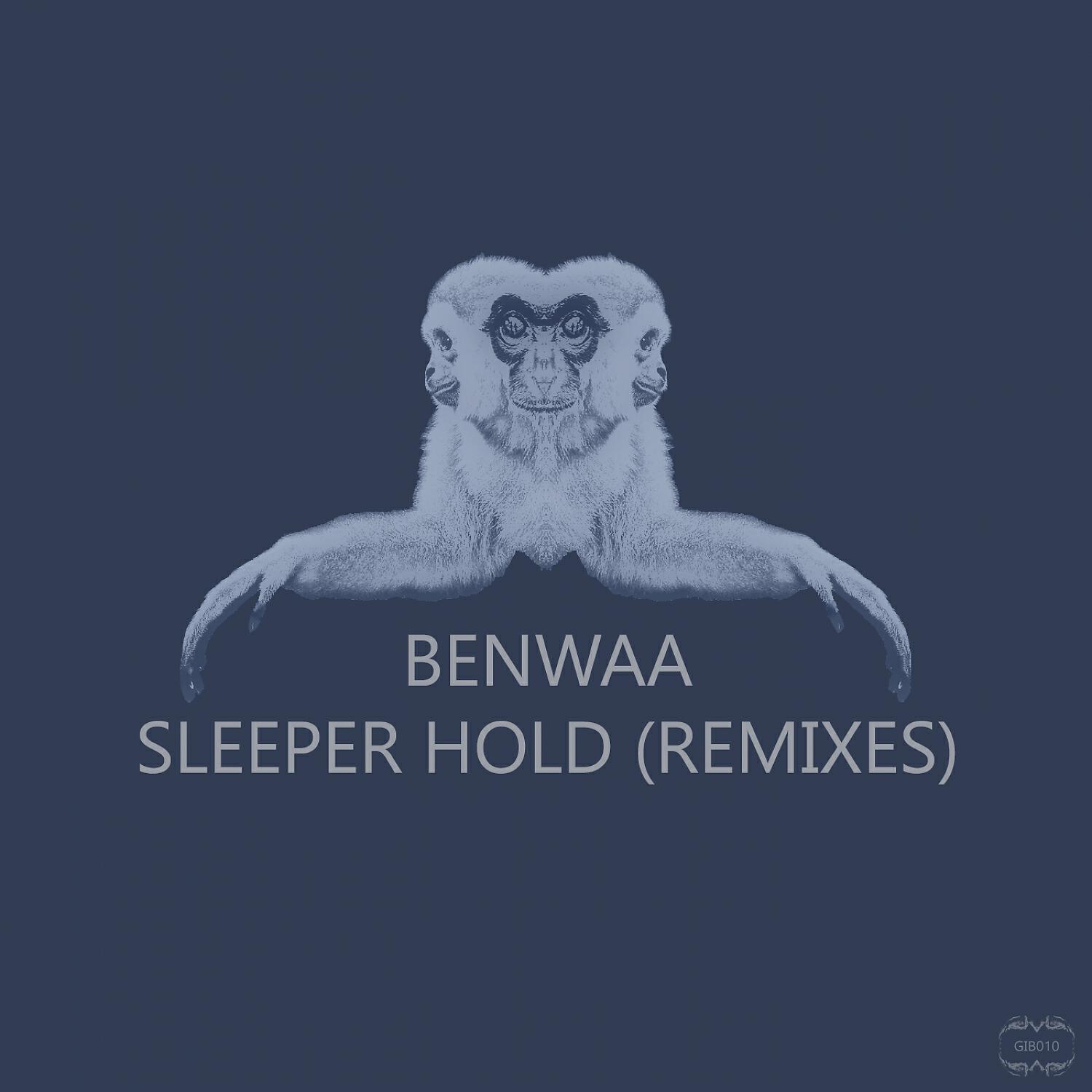 Релиз Sleeper Hold (The Remixes)