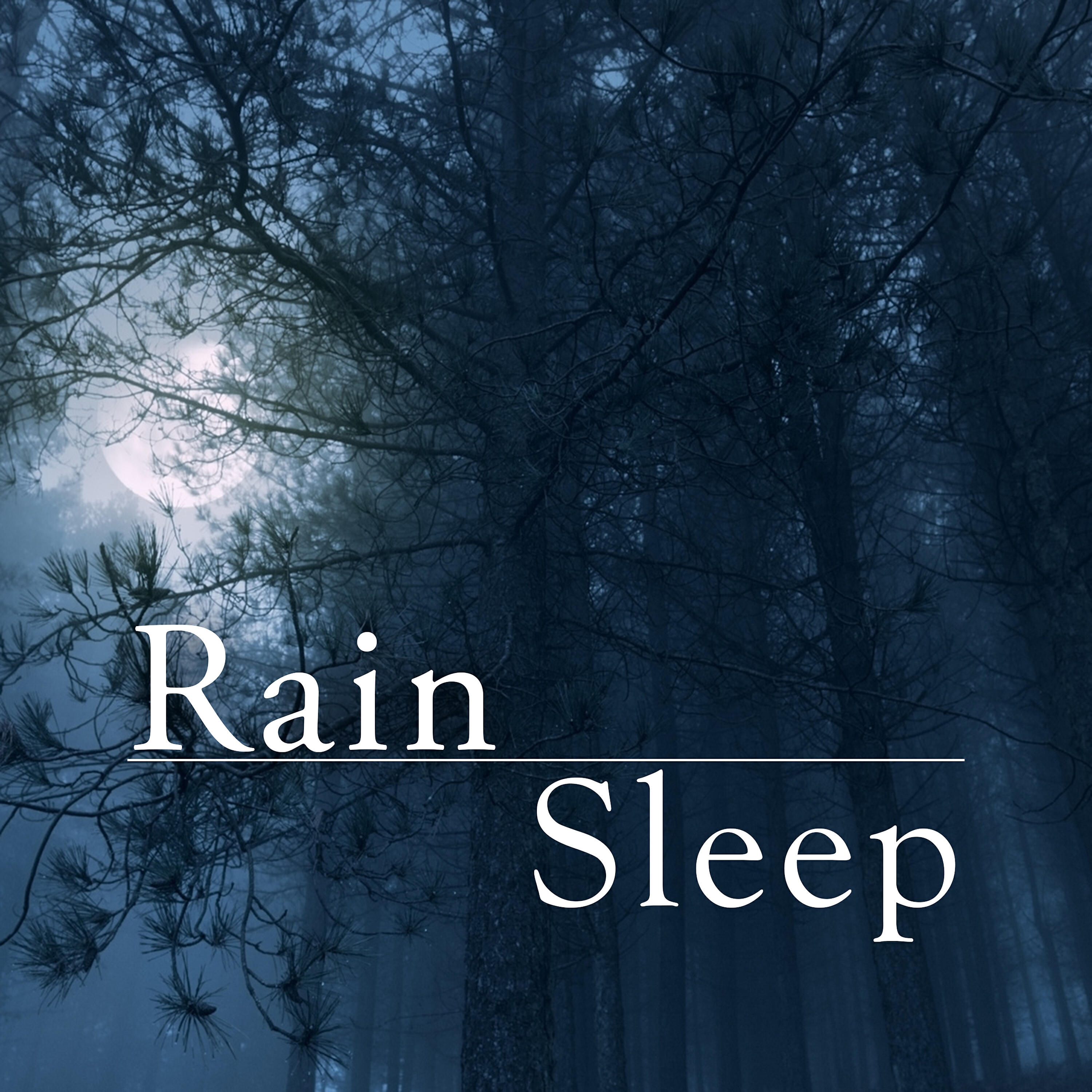 Релиз Rain Sleep