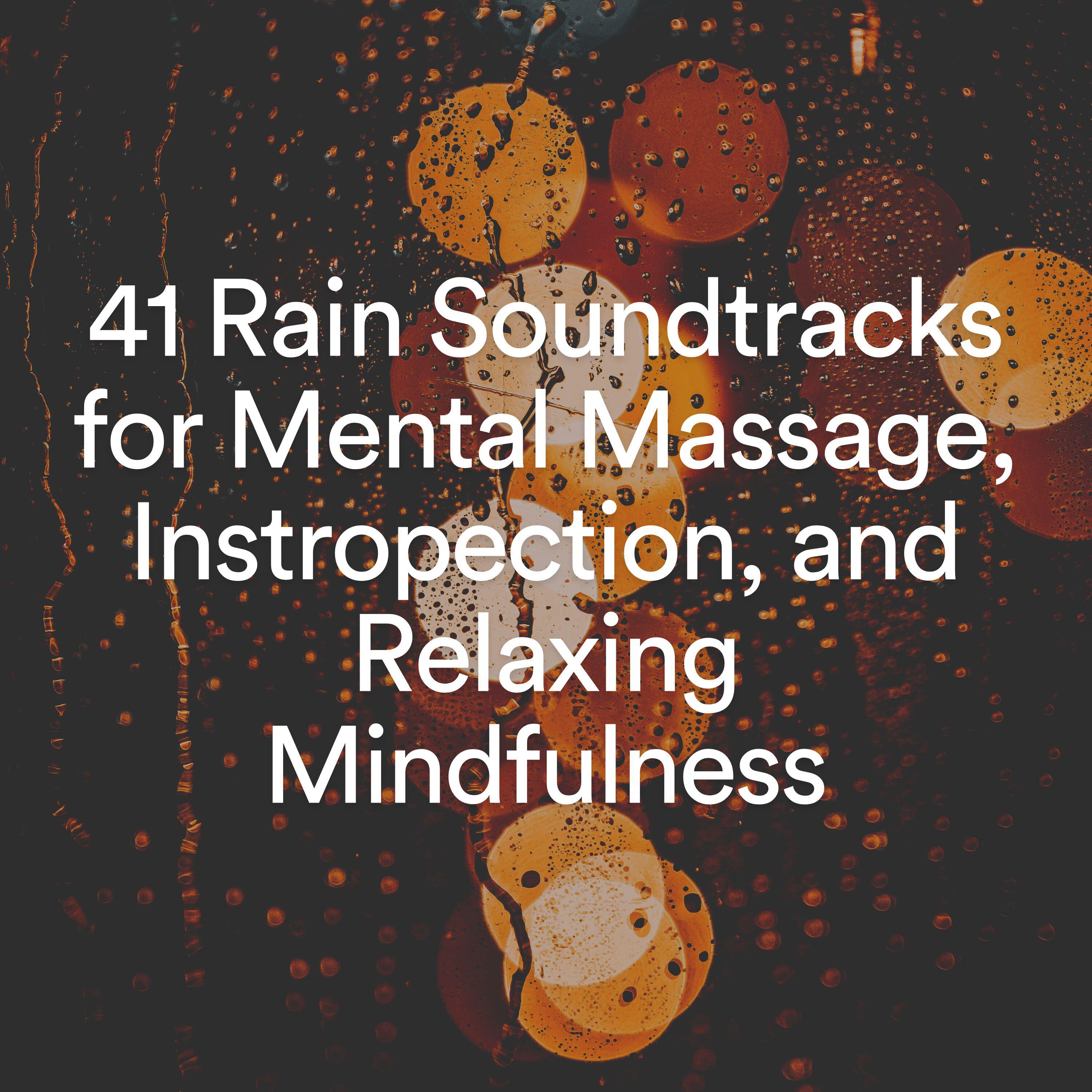 Релиз 41 Rain Soundtracks for Mental Massage, Instropection, and Relaxing Mindfulness