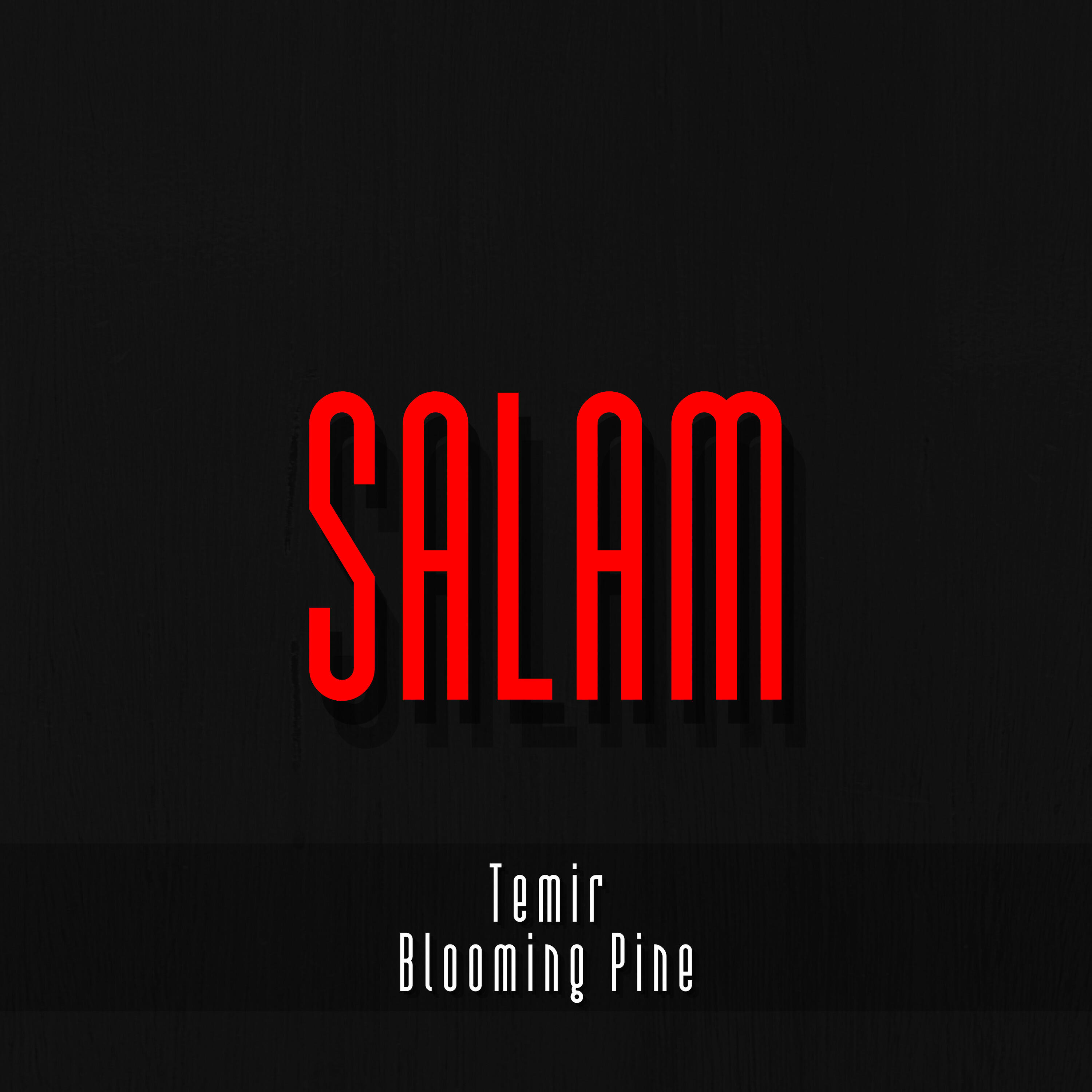 Постер альбома Salam