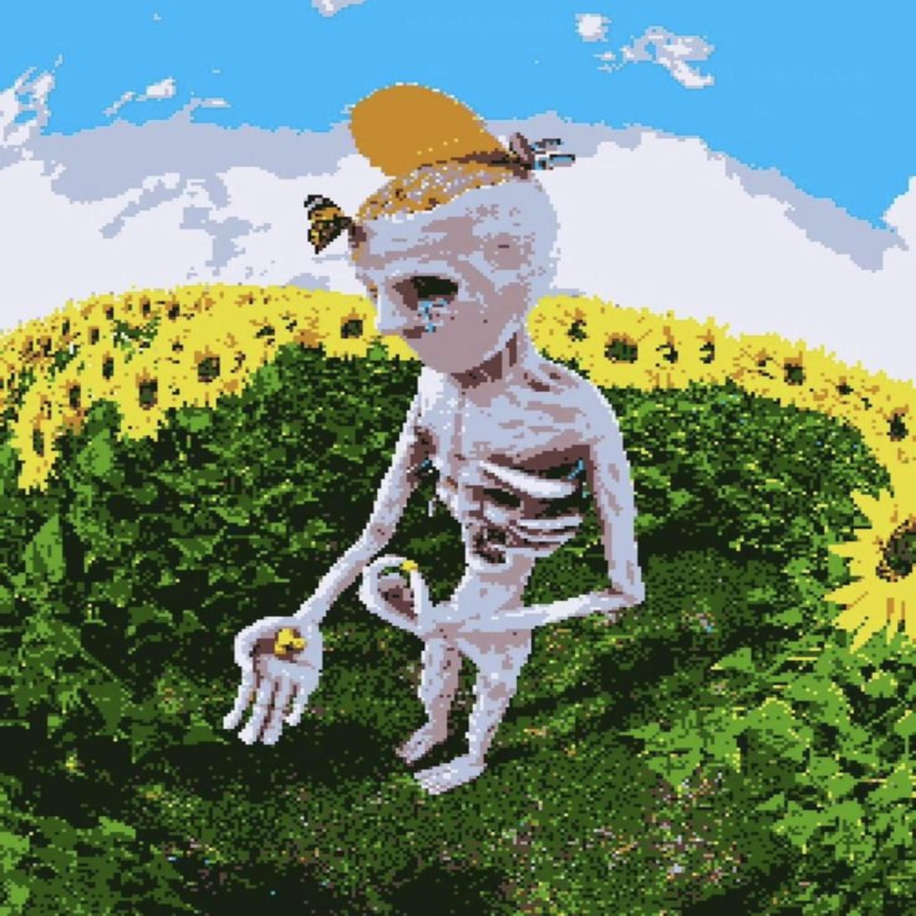 Релиз Natura