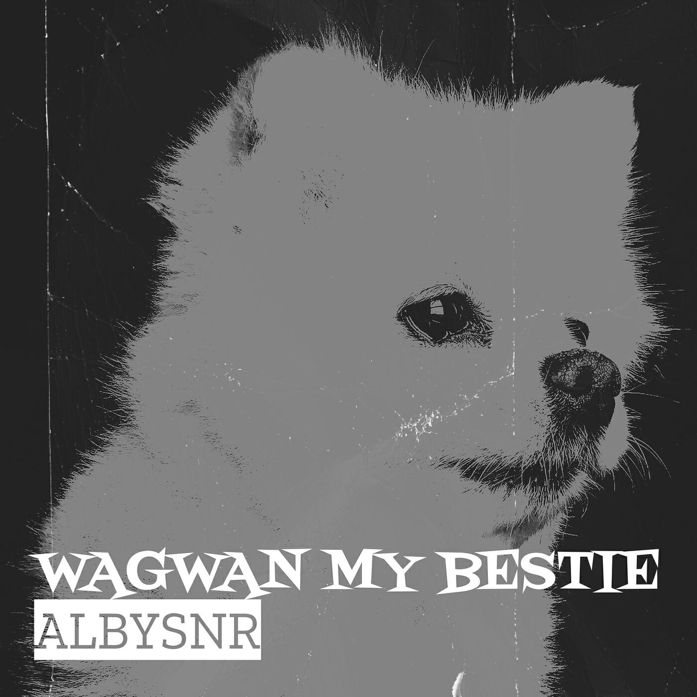 Релиз Wagwan My Bestie