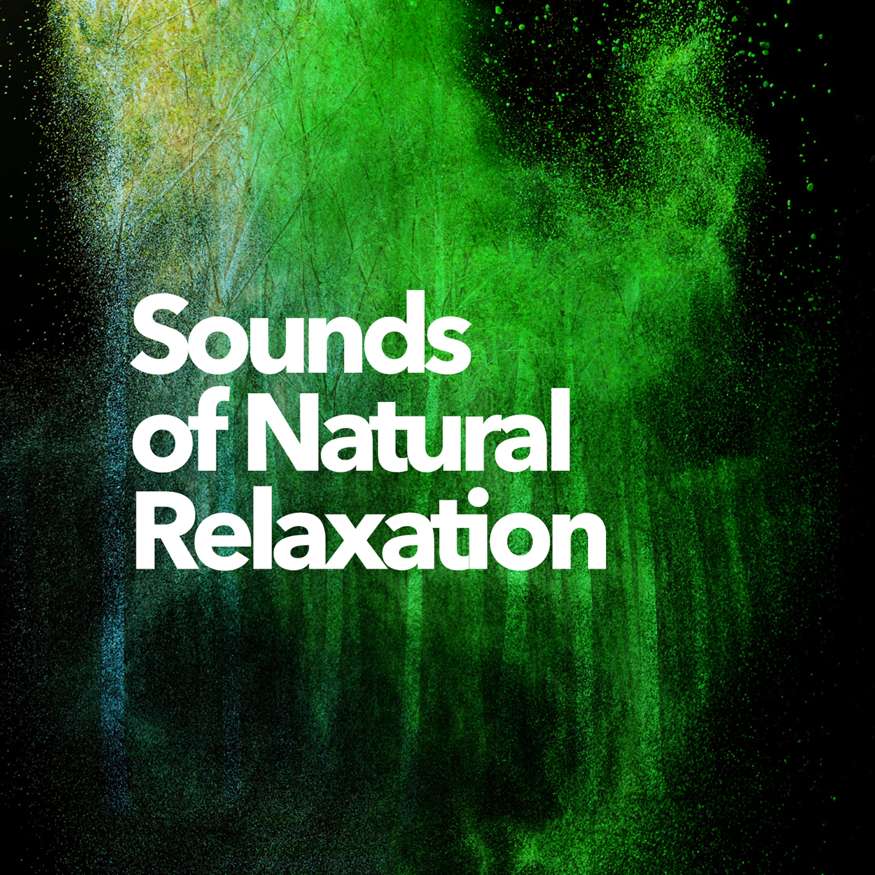 Релиз Sounds of Natural Relaxation