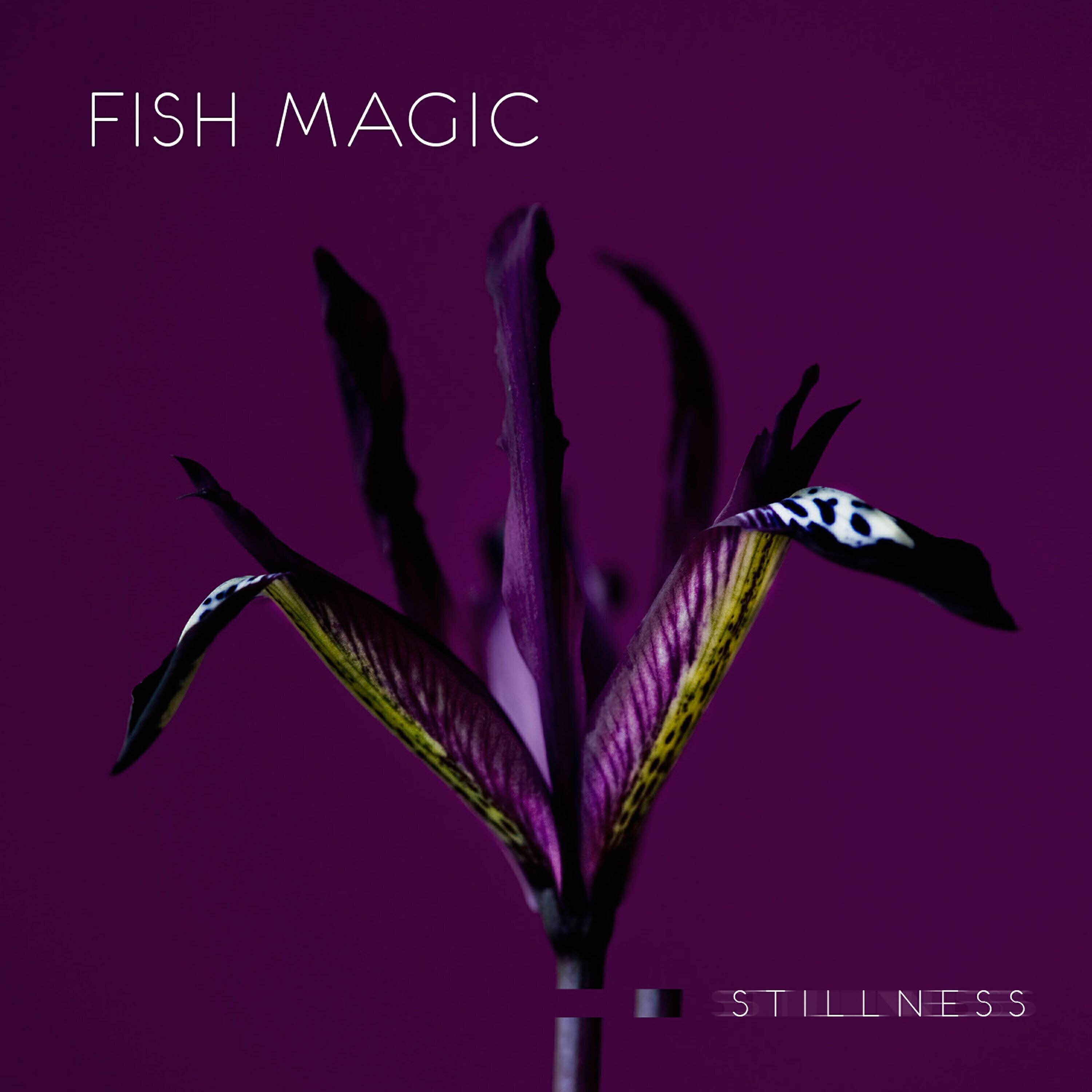 Fish Magic