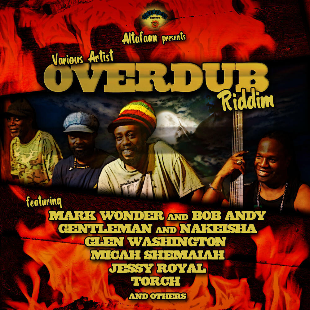 Релиз Overdub Riddim