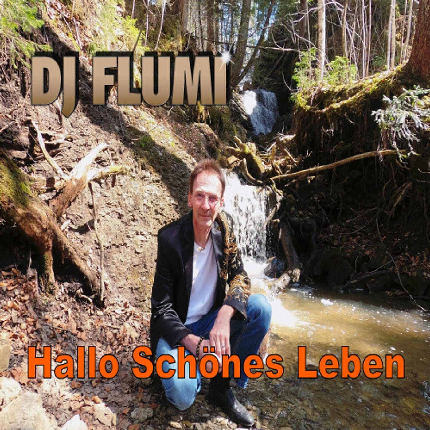 Релиз Hallo Schönes Leben