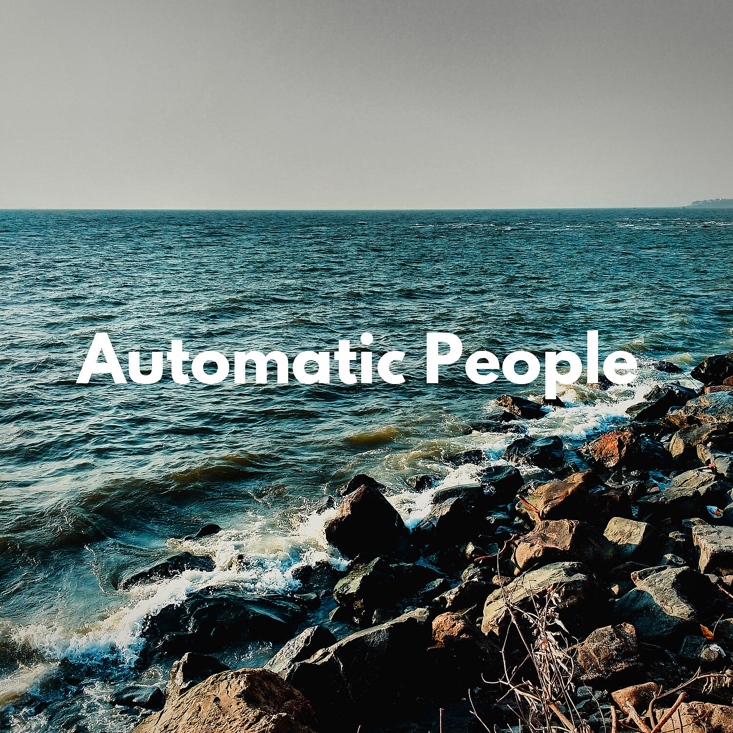 Релиз Automatic People