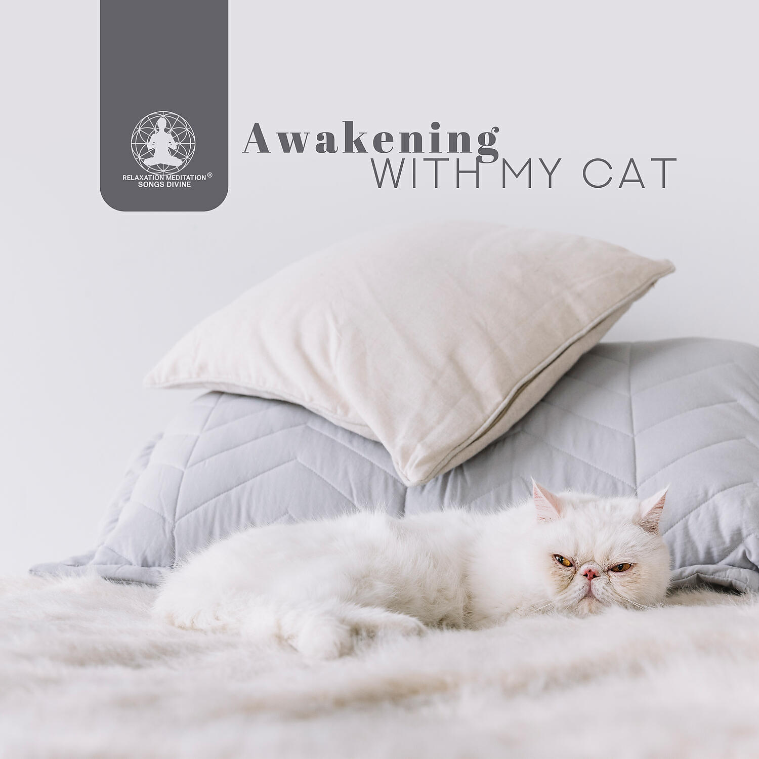 Релиз Awakening with My Cat