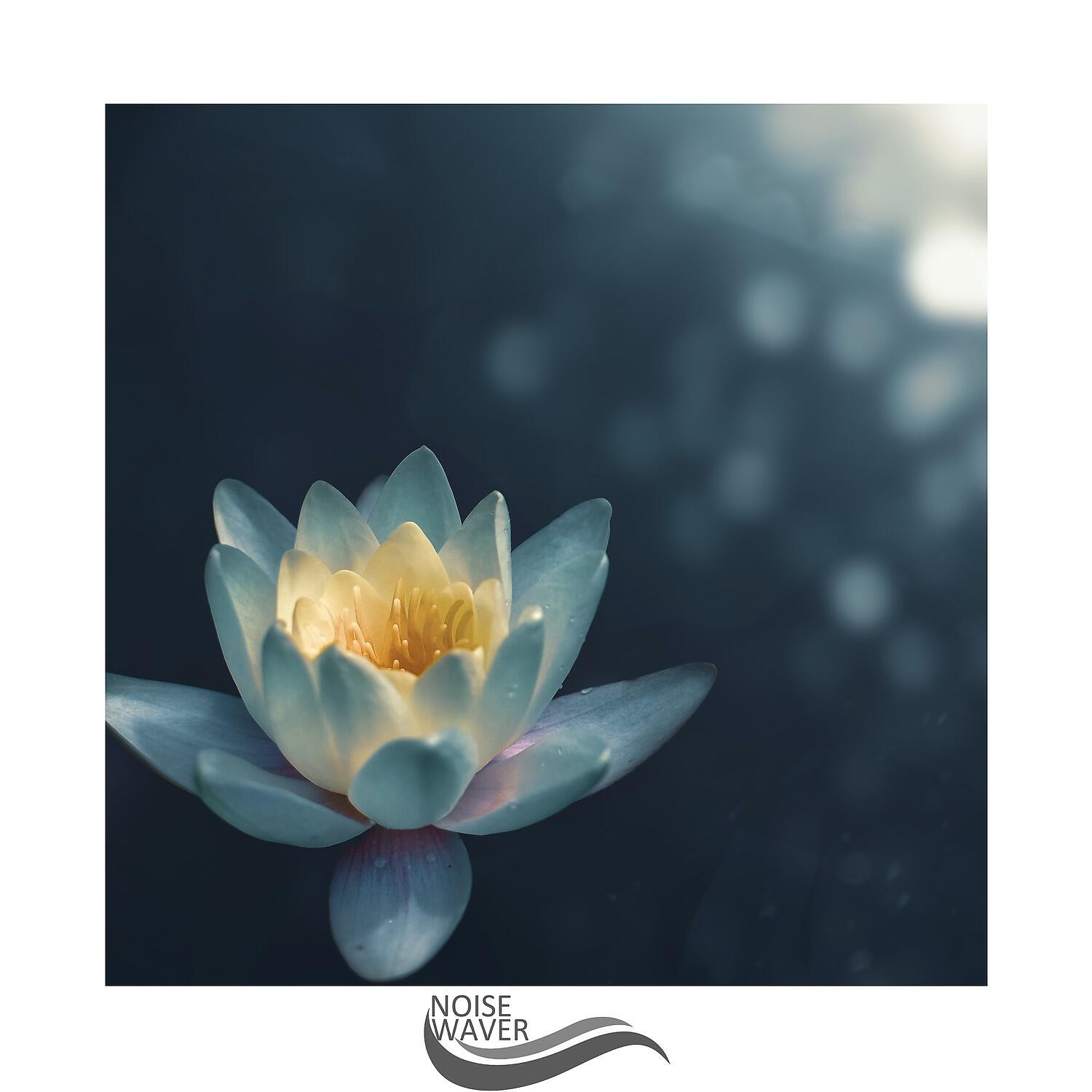 Релиз Relaxing Ambient of Noise