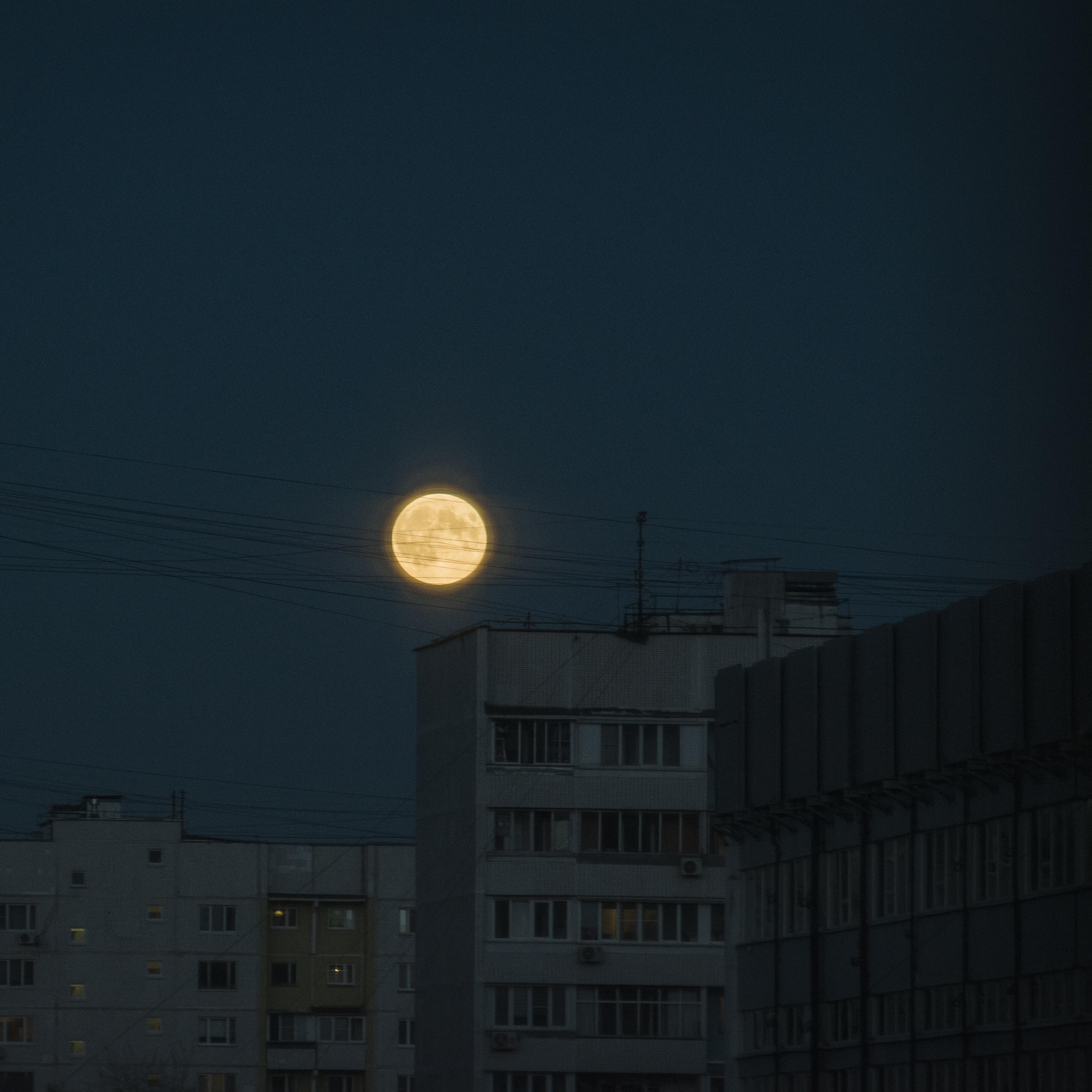Релиз Lunalunaluna