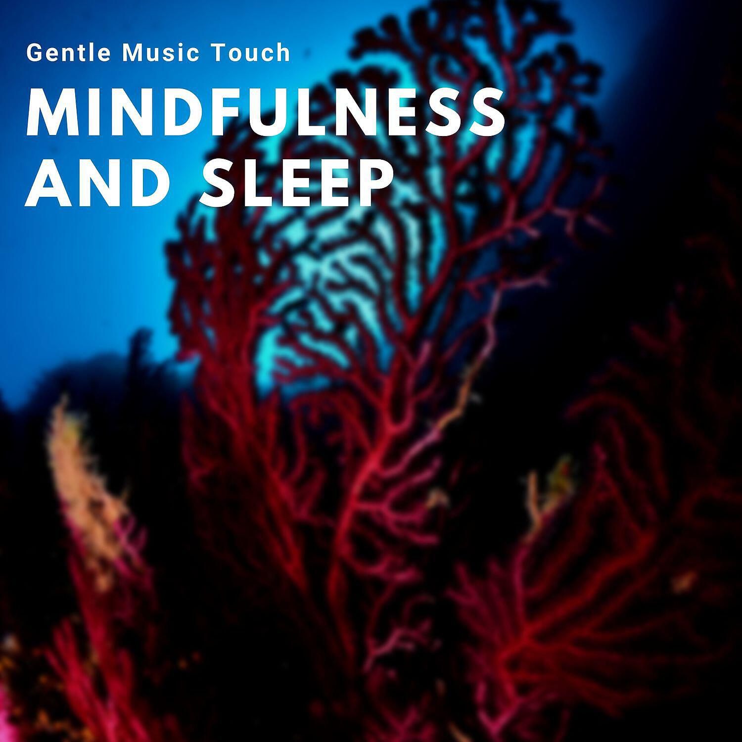 Релиз Mindfulness and Sleep - Gentle Music Touch