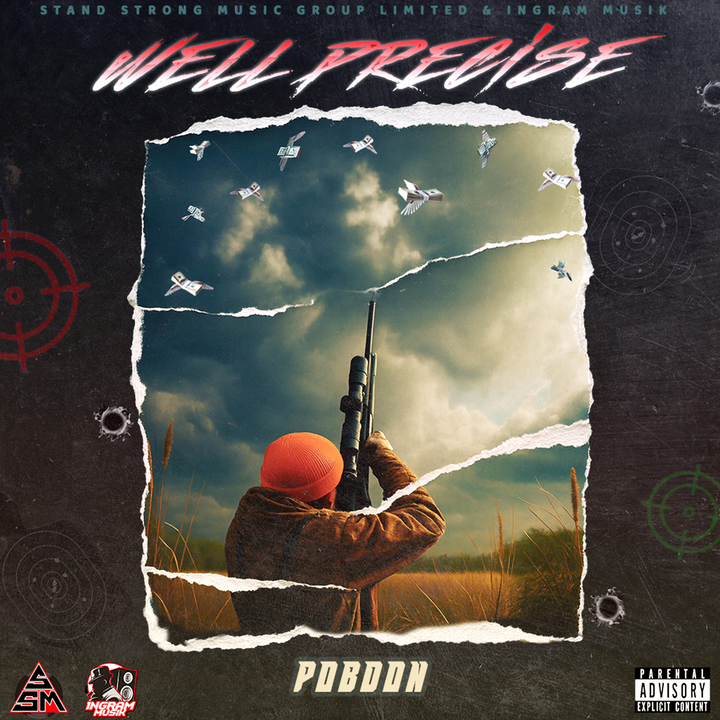 Релиз Well Precise