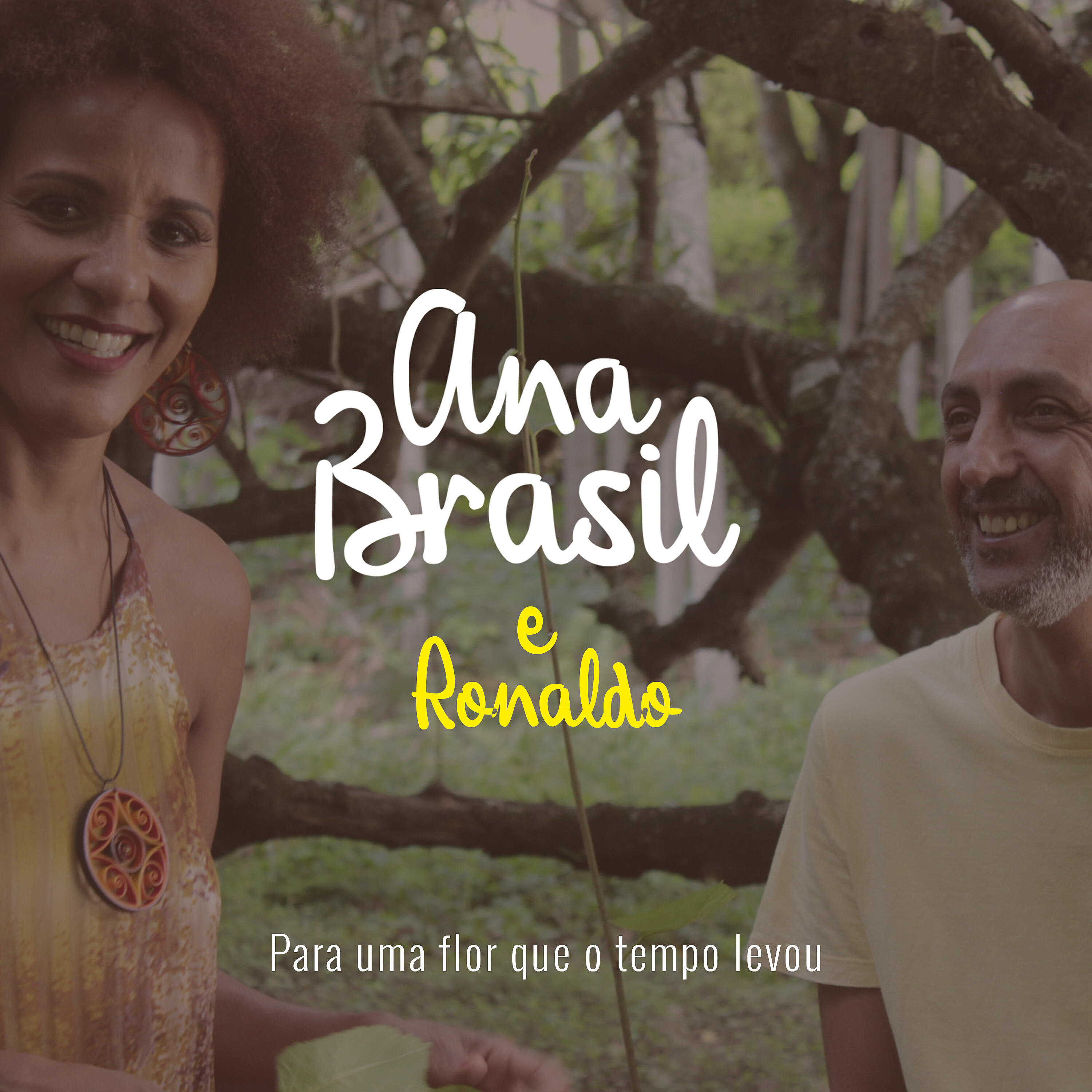 Релиз Para uma Flor Que o Tempo Levou