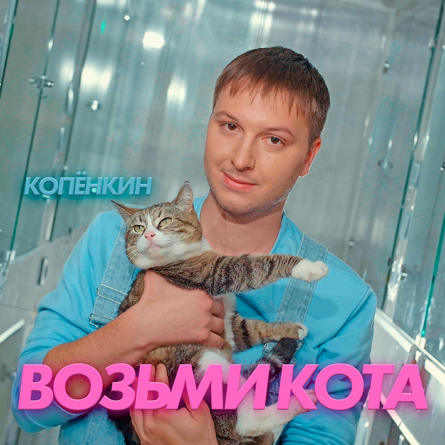 Релиз Возьми кота
