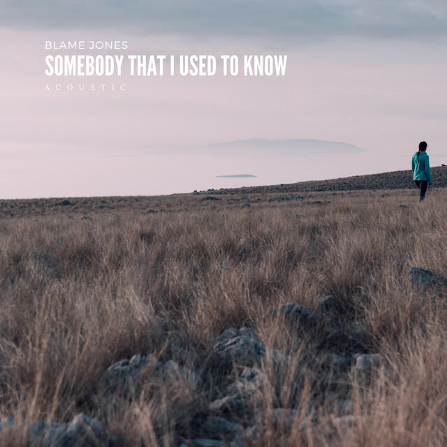 Релиз Somebody That I Used to Know (Acoustic)