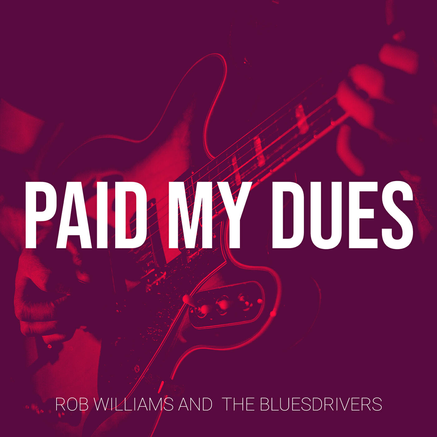 Rob Williams and  The Bluesdrivers