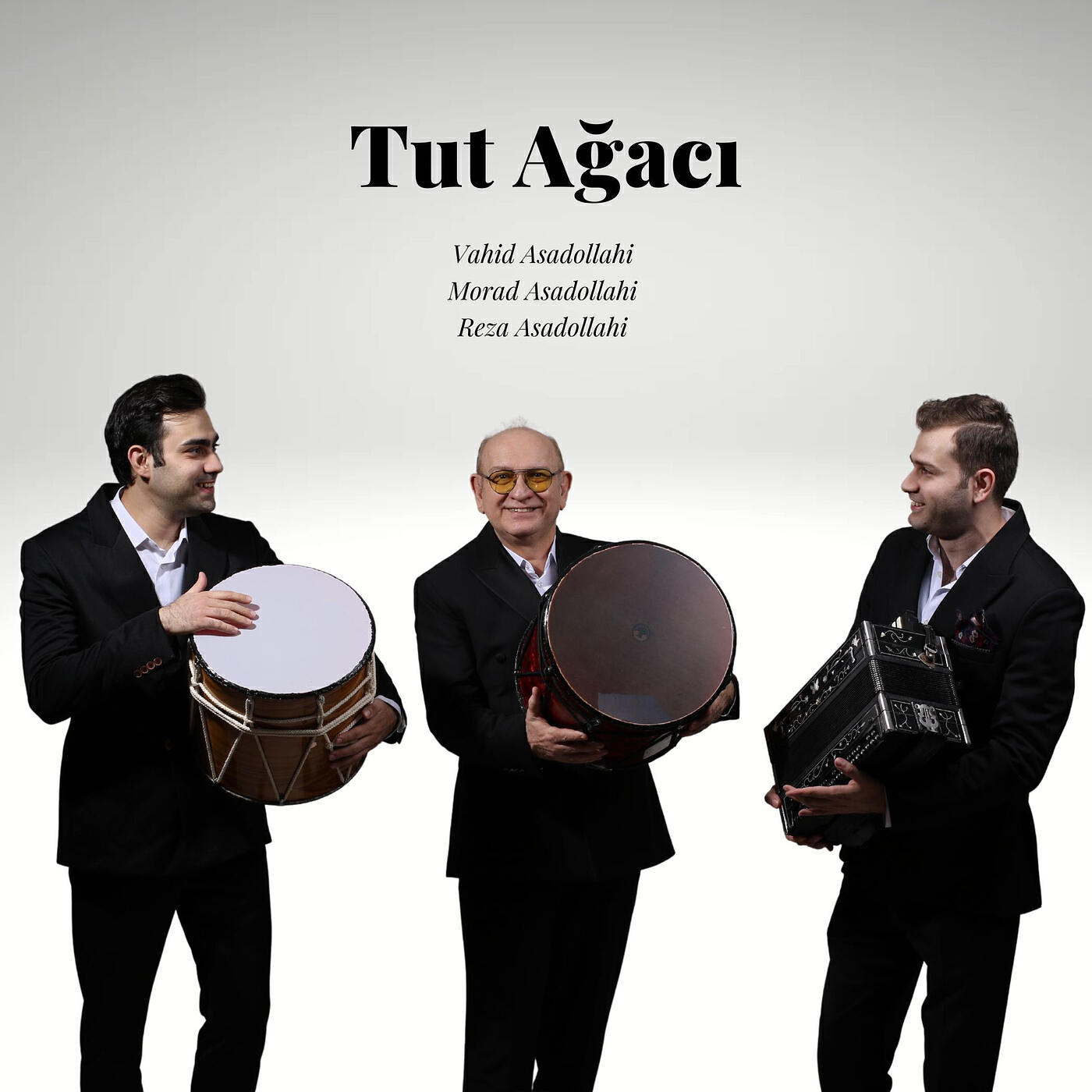 Постер альбома Tut Ağacı
