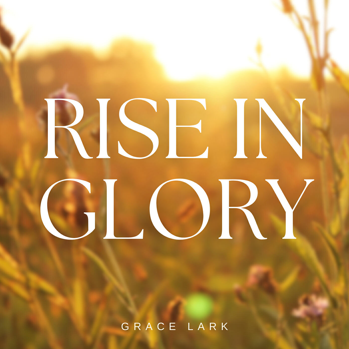 Релиз Rise in Glory