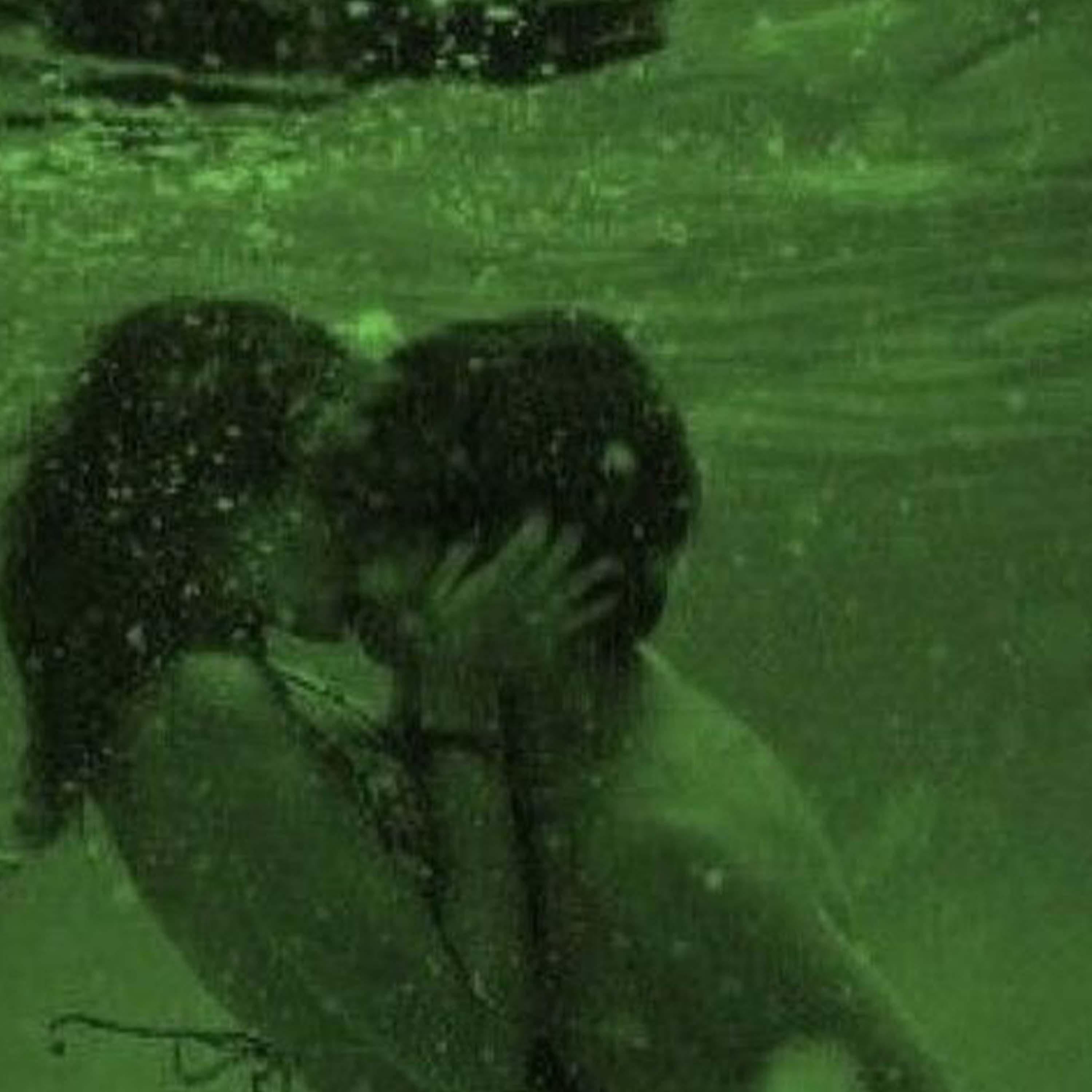 Релиз Dusk Till Dawn x Another Love