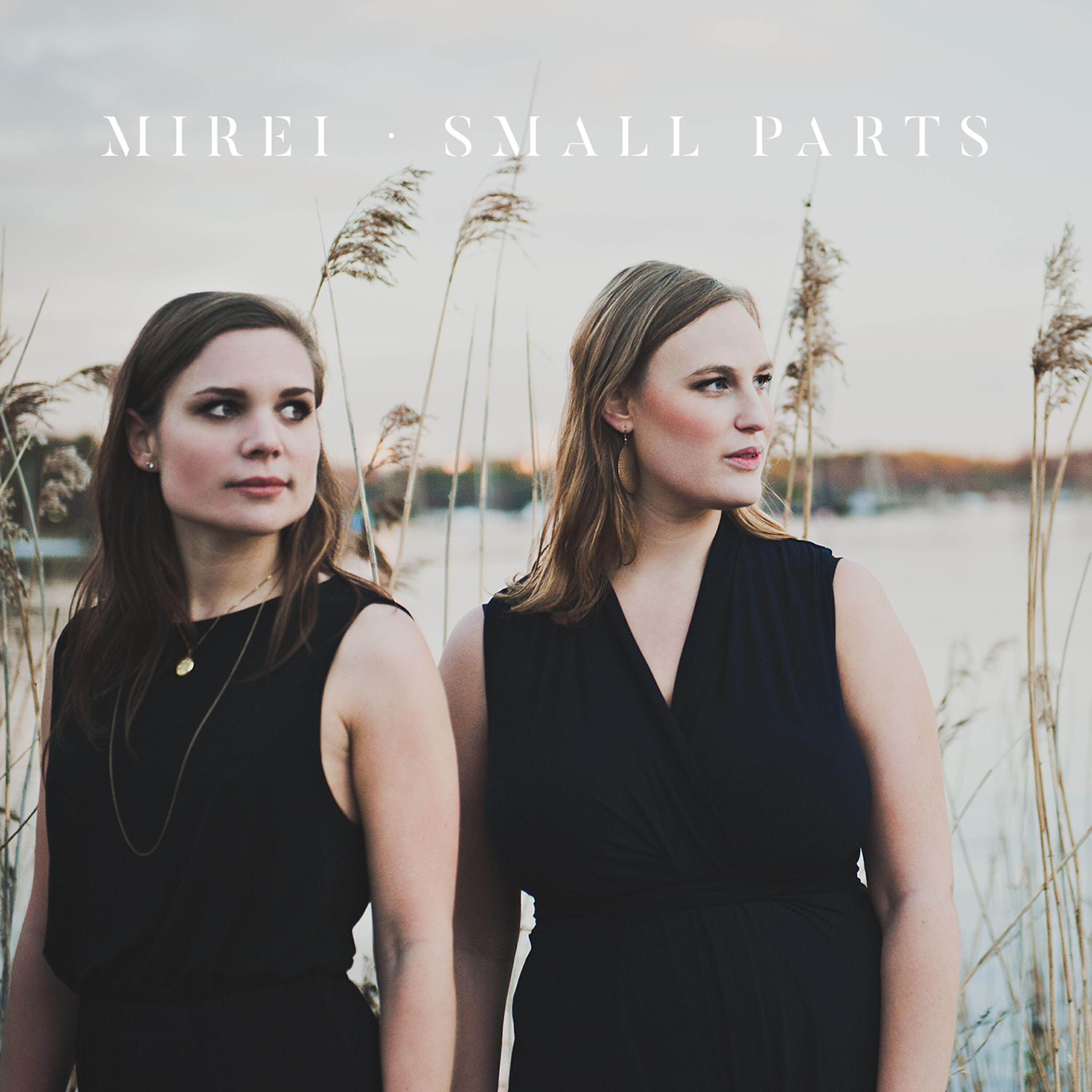 Релиз Small Parts