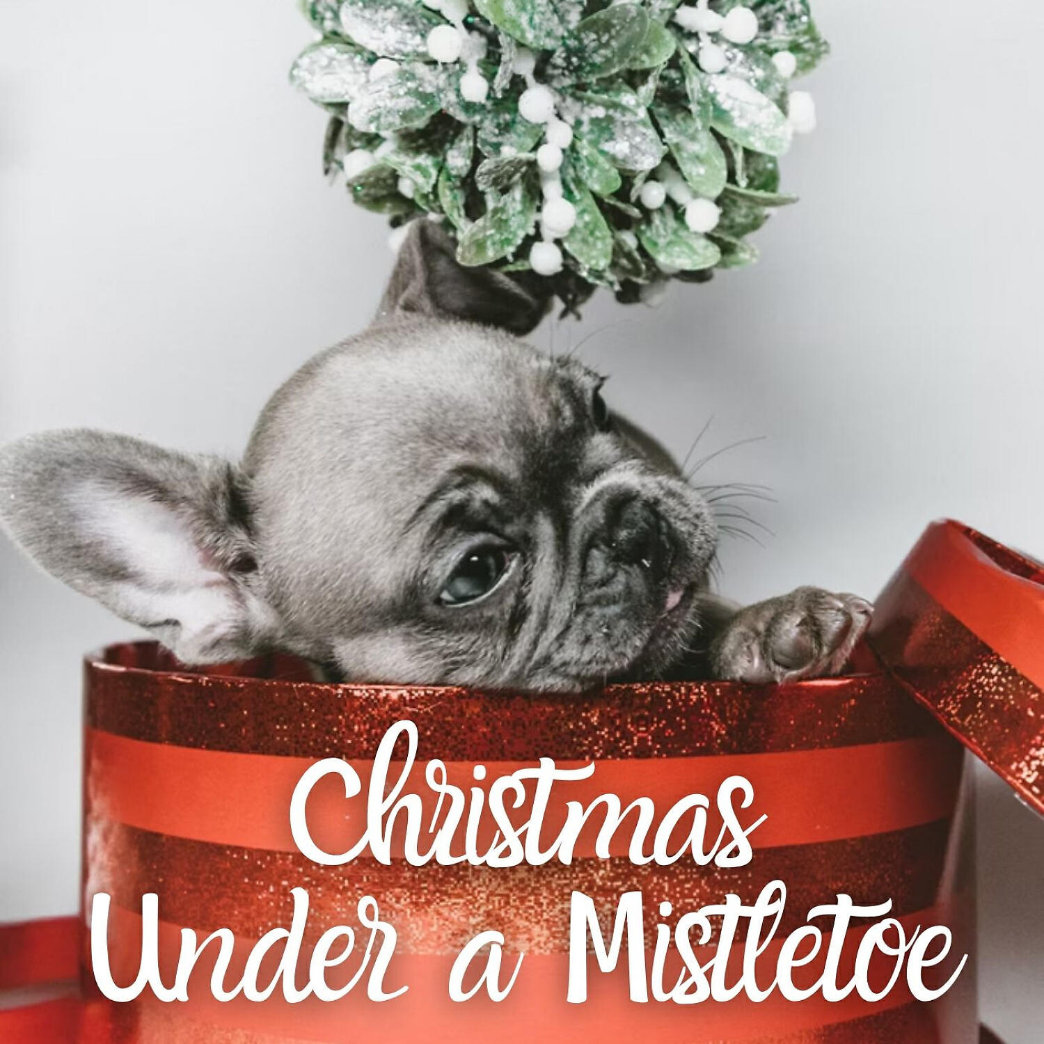 Релиз Christmas Under a Mistletoe