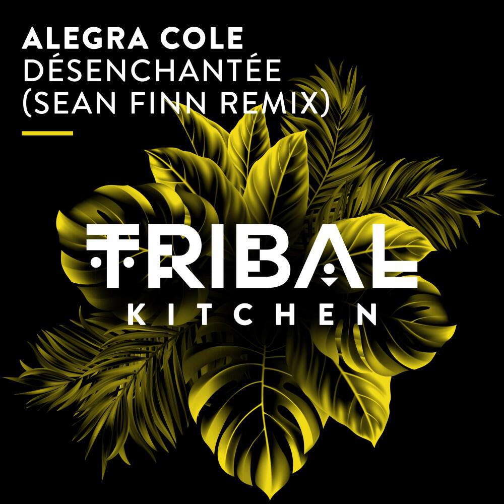 Релиз Désenchantée (Sean Finn Remix)