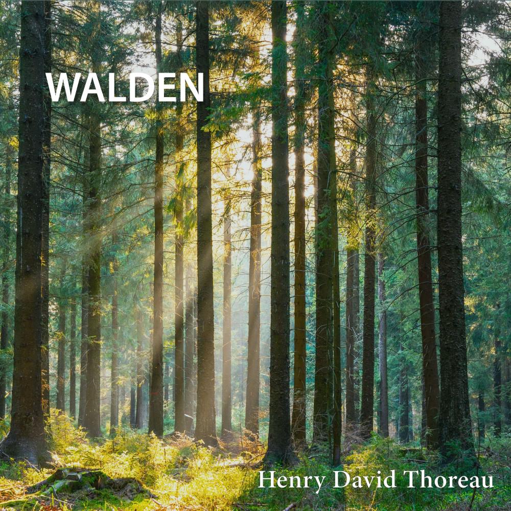 Релиз Walden
