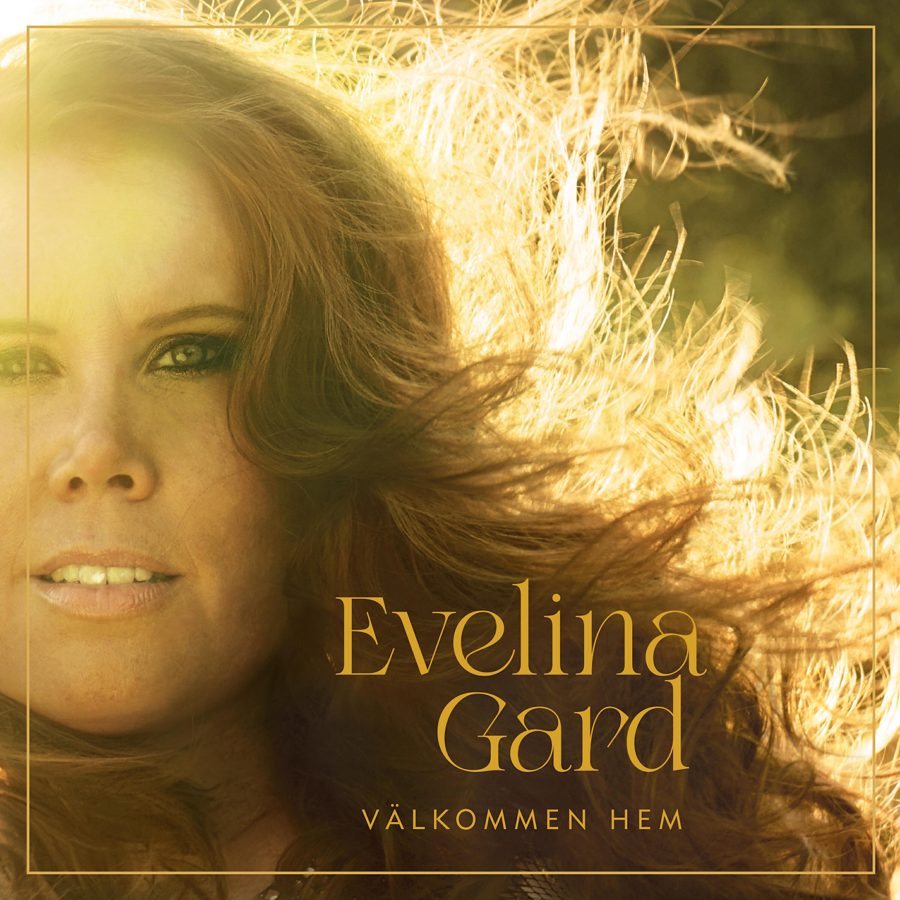Релиз Välkommen hem