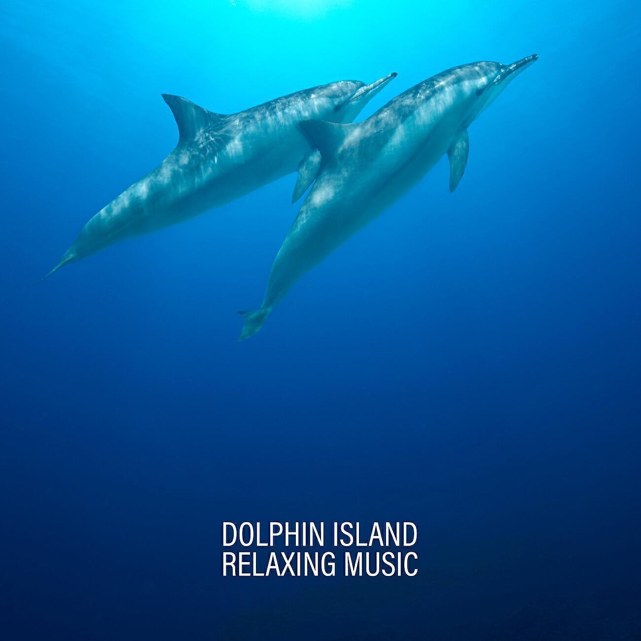 Tropical Ocean Waves Oasis