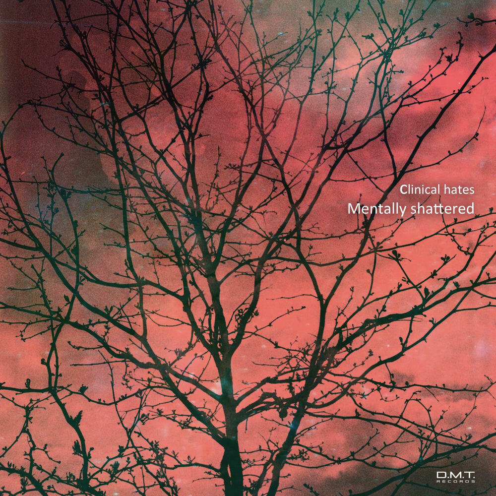 Релиз Mentally Shattered
