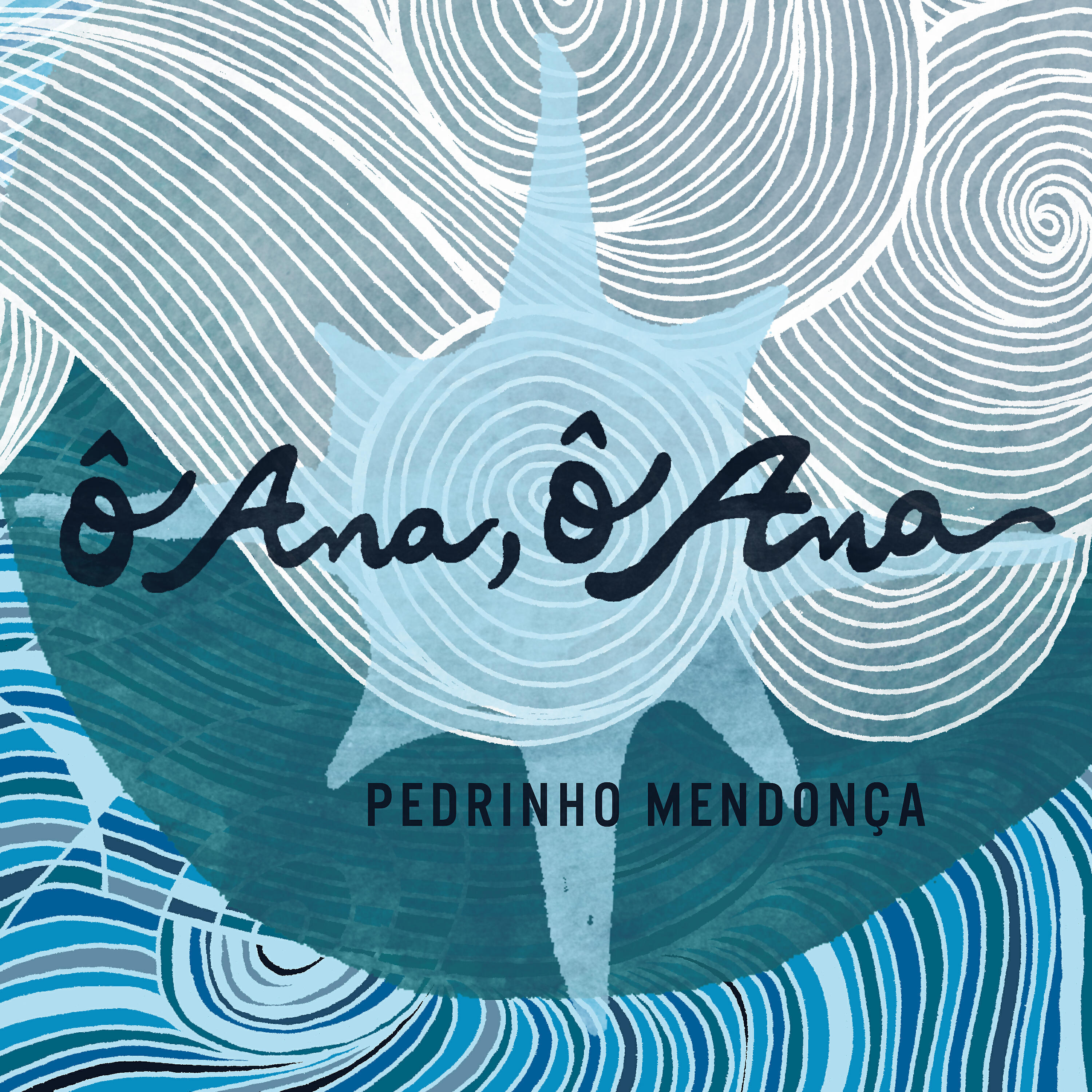 Pedrinho Mendonça