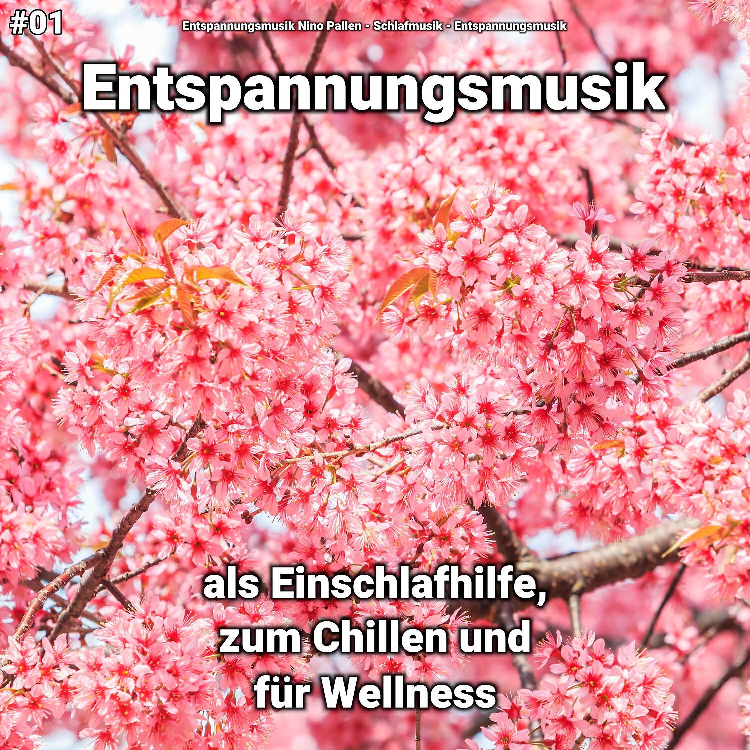 Релиз #01 Entspannungsmusik als Einschlafhilfe, zum Chillen und für Wellness