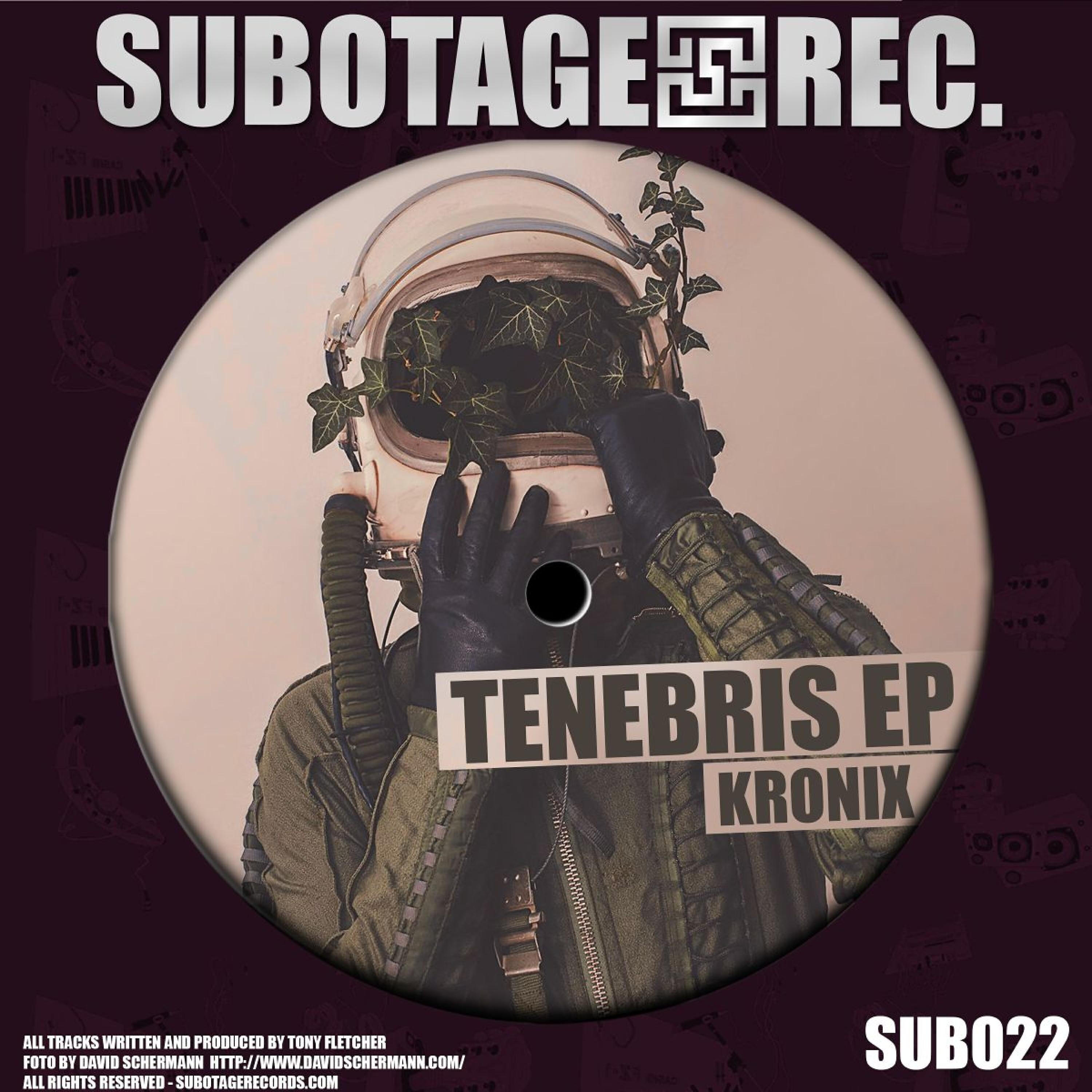 Релиз Tenebris