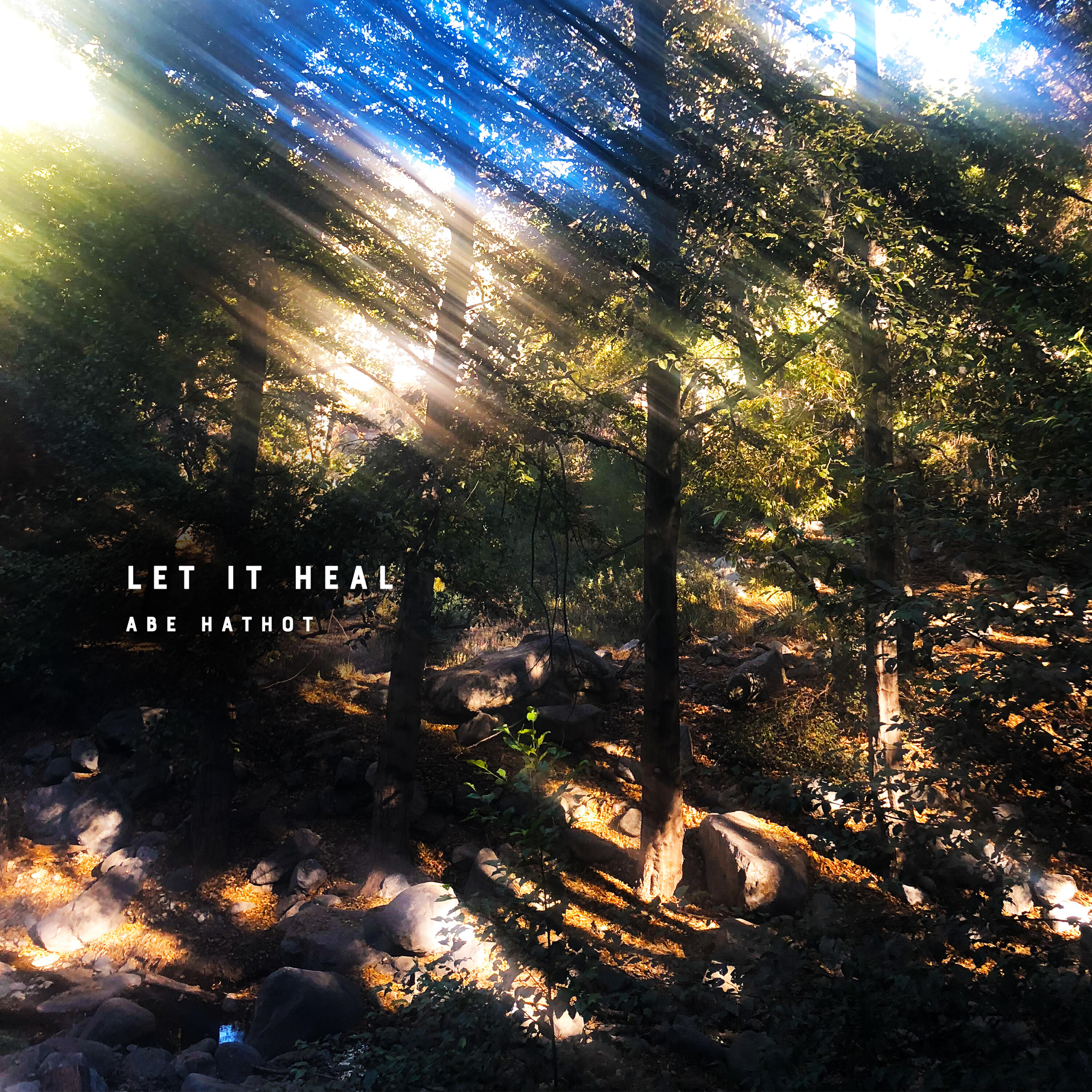 Релиз Let It Heal