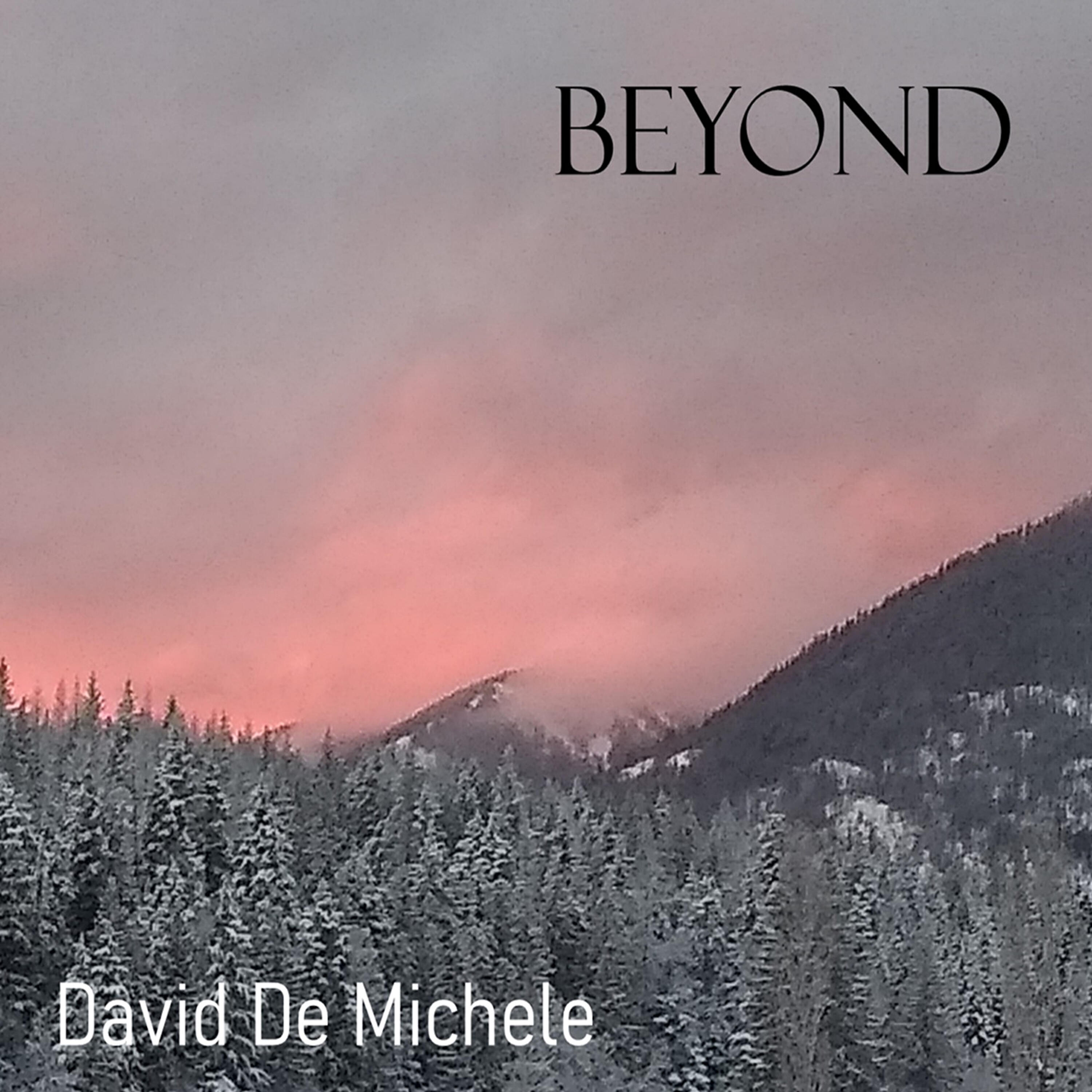 David De Michele