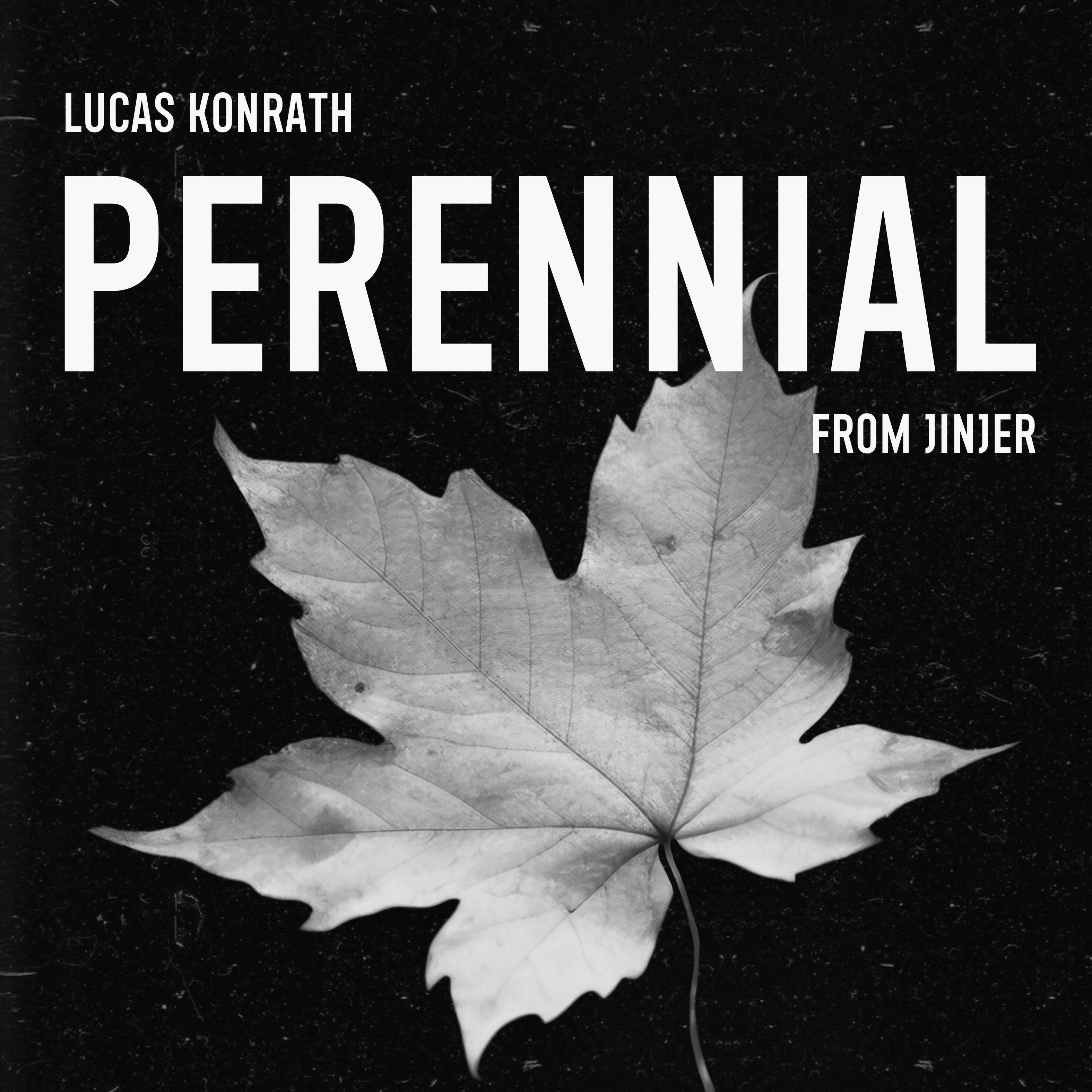 Релиз Perennial (From Jinjer)